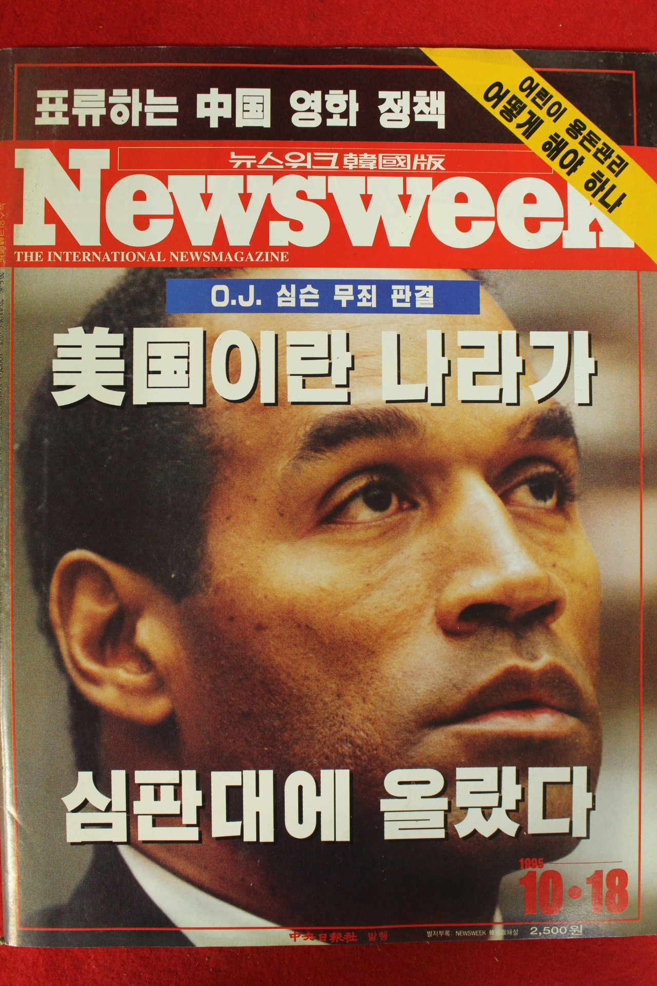 1995년 뉴스위크 10월18일자