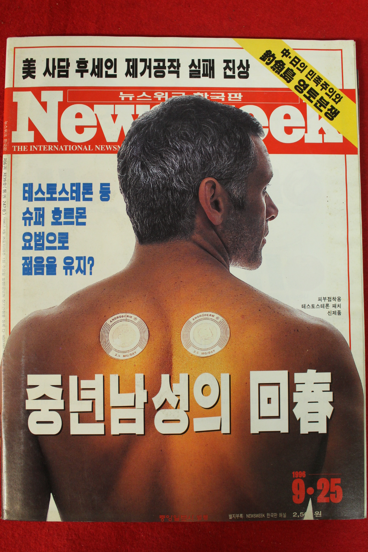 1996년 뉴스위크 9월25일자