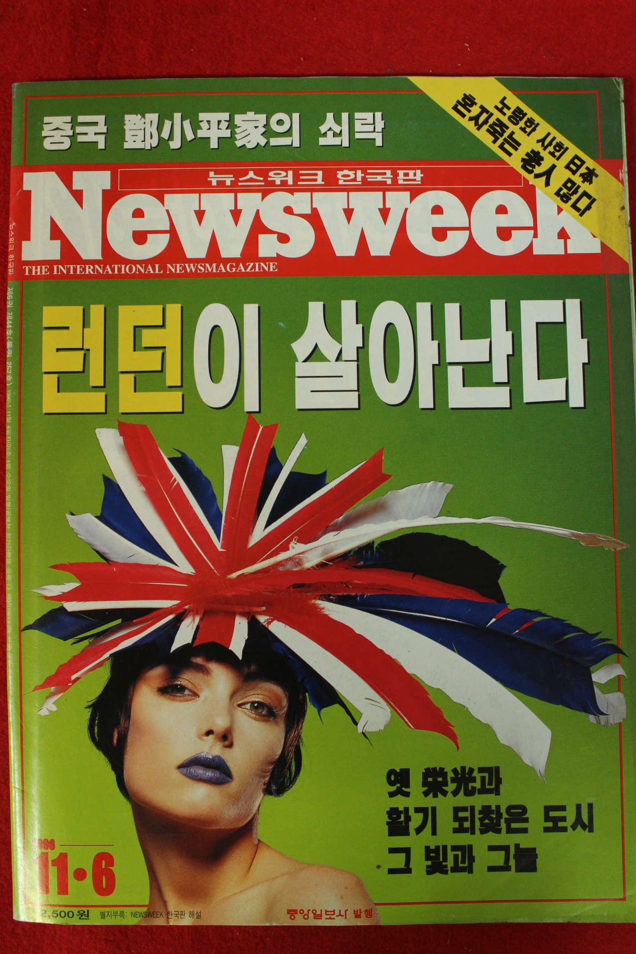 1996년 뉴스위크 11월6일자