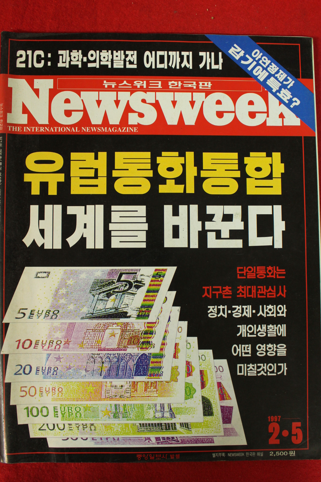 1997년 뉴스위크 2월5일자