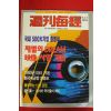 1995년 주간매경 5월17일자