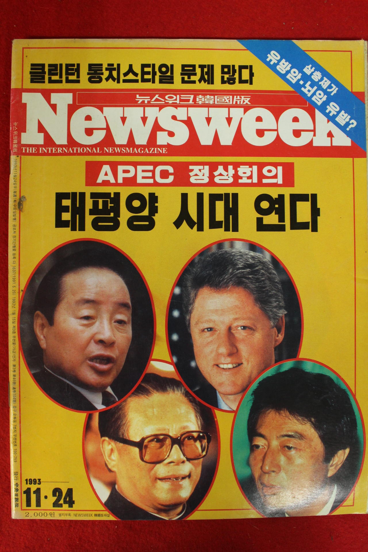 1993년 뉴스위크 11월24일자