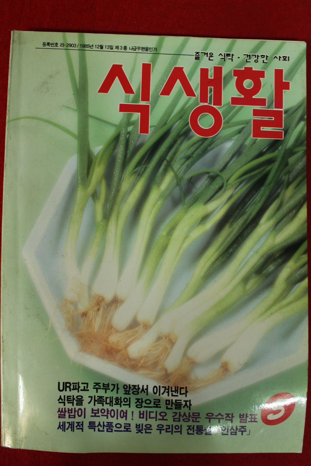 1994년 월간 식생활 5월호