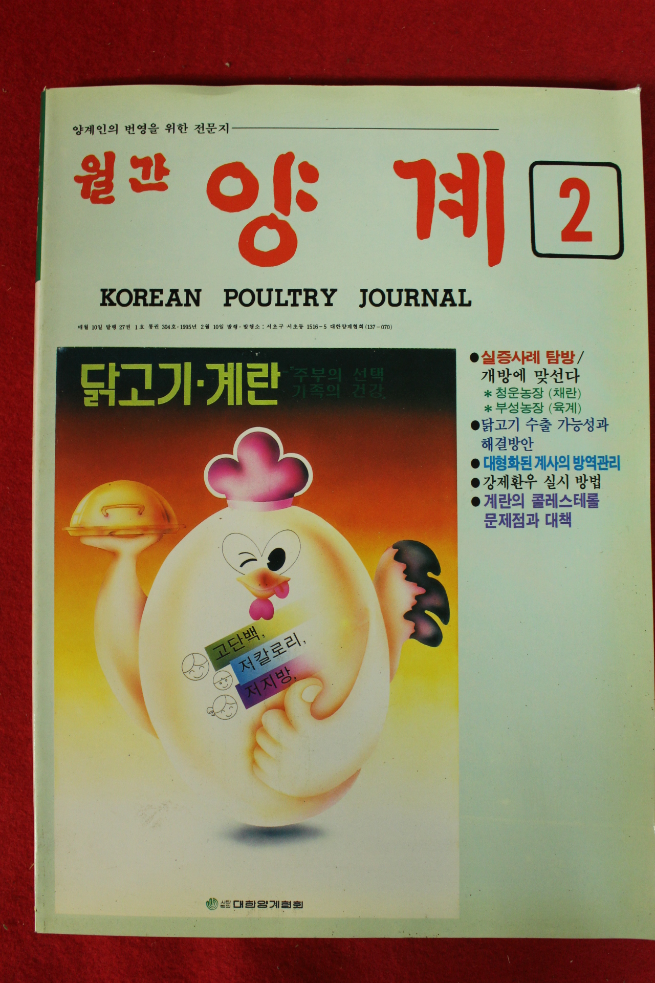 1995년 월간 양계 2월호