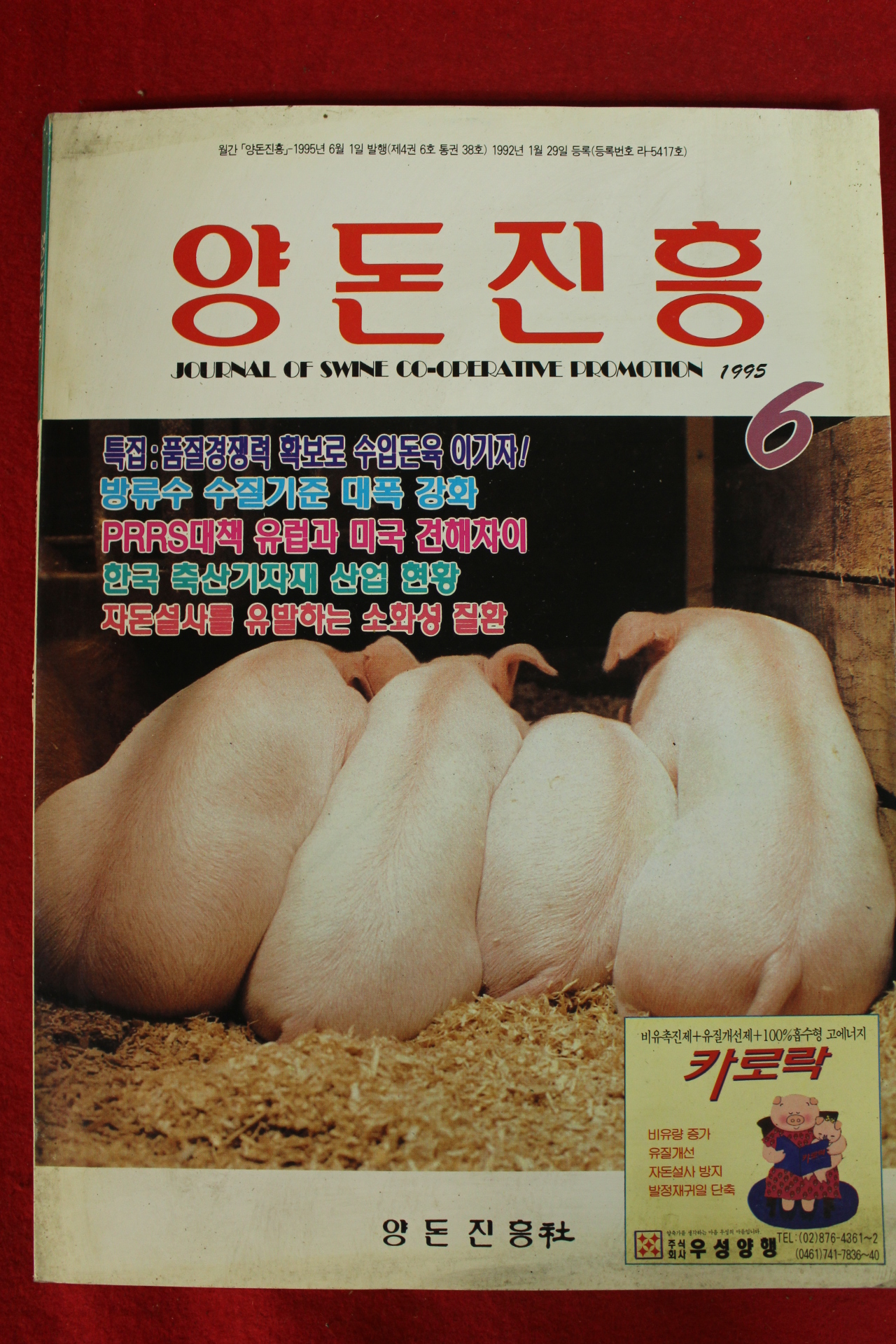 1995년 양돈진흥 6월호