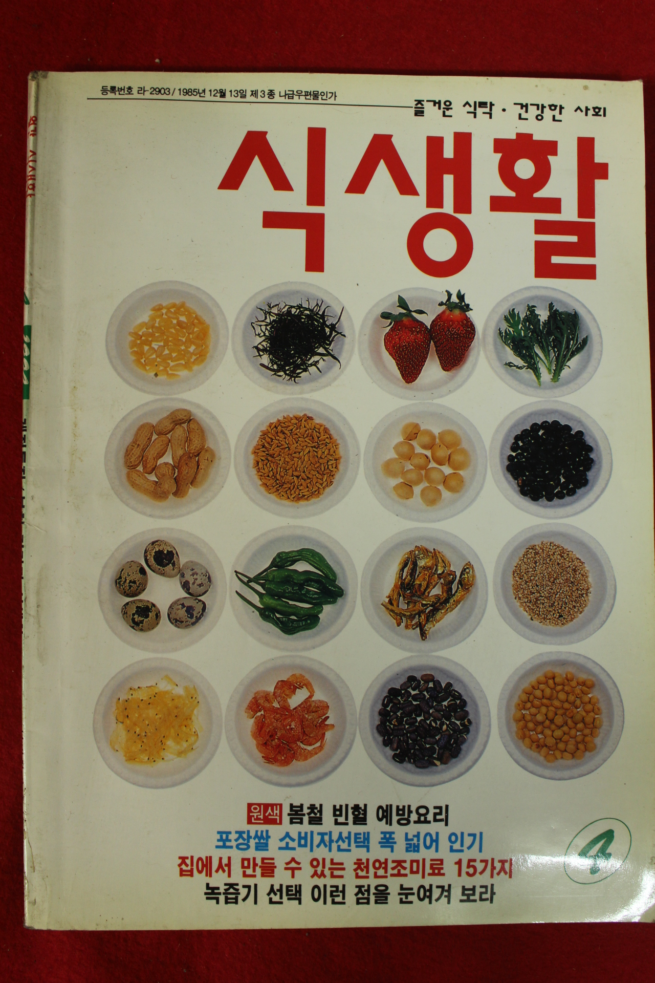1994년 월간 식생활 4월호