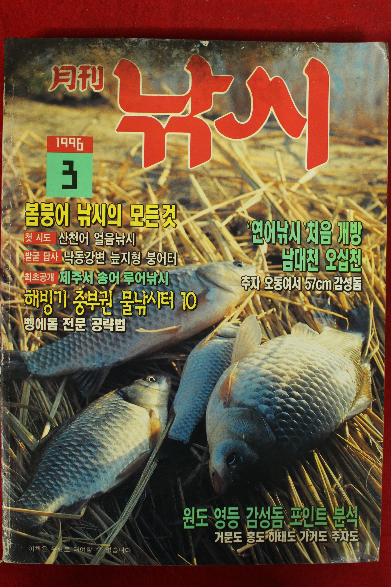 1996년 월간낚시 3월호