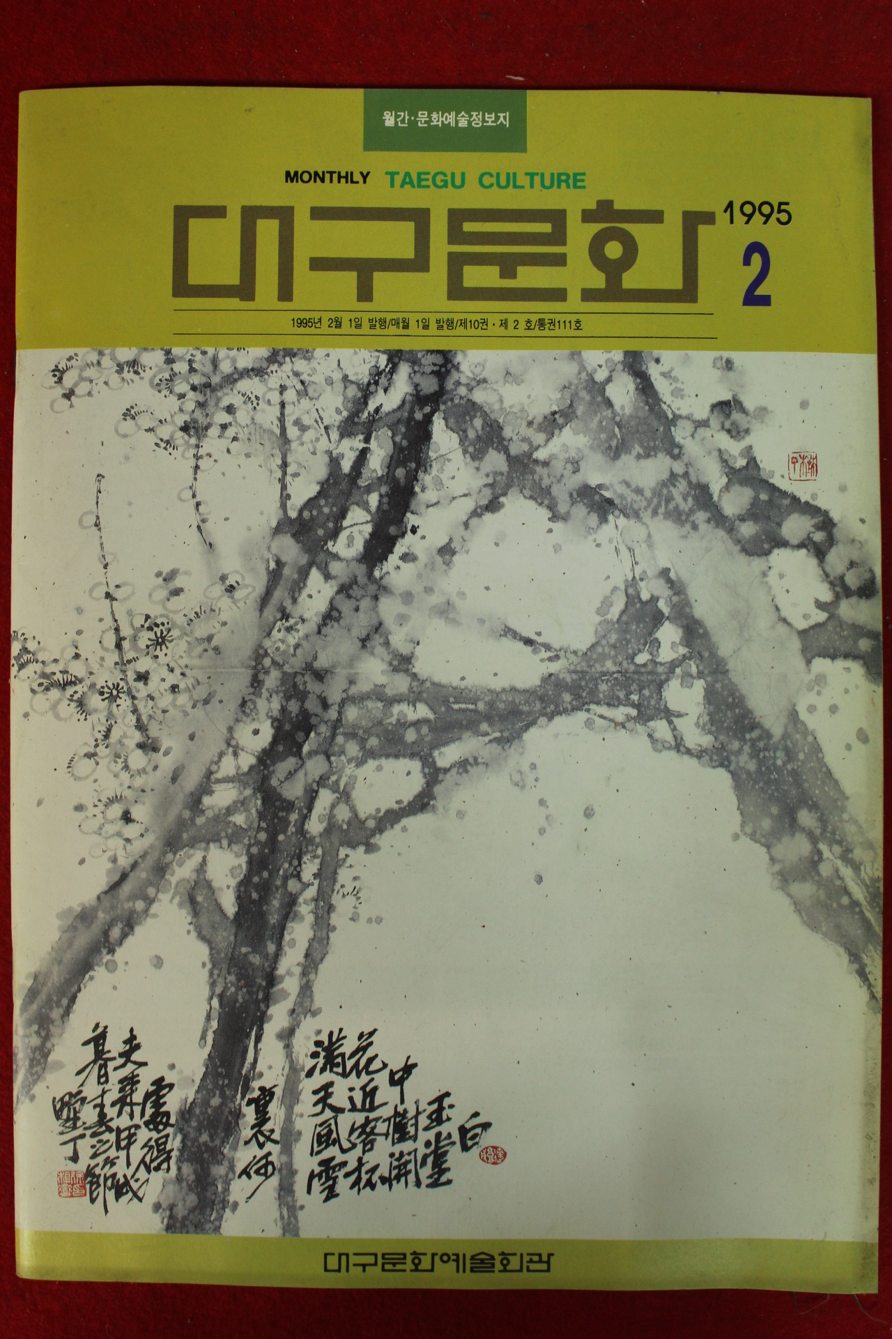1995년 대구문화 2월호