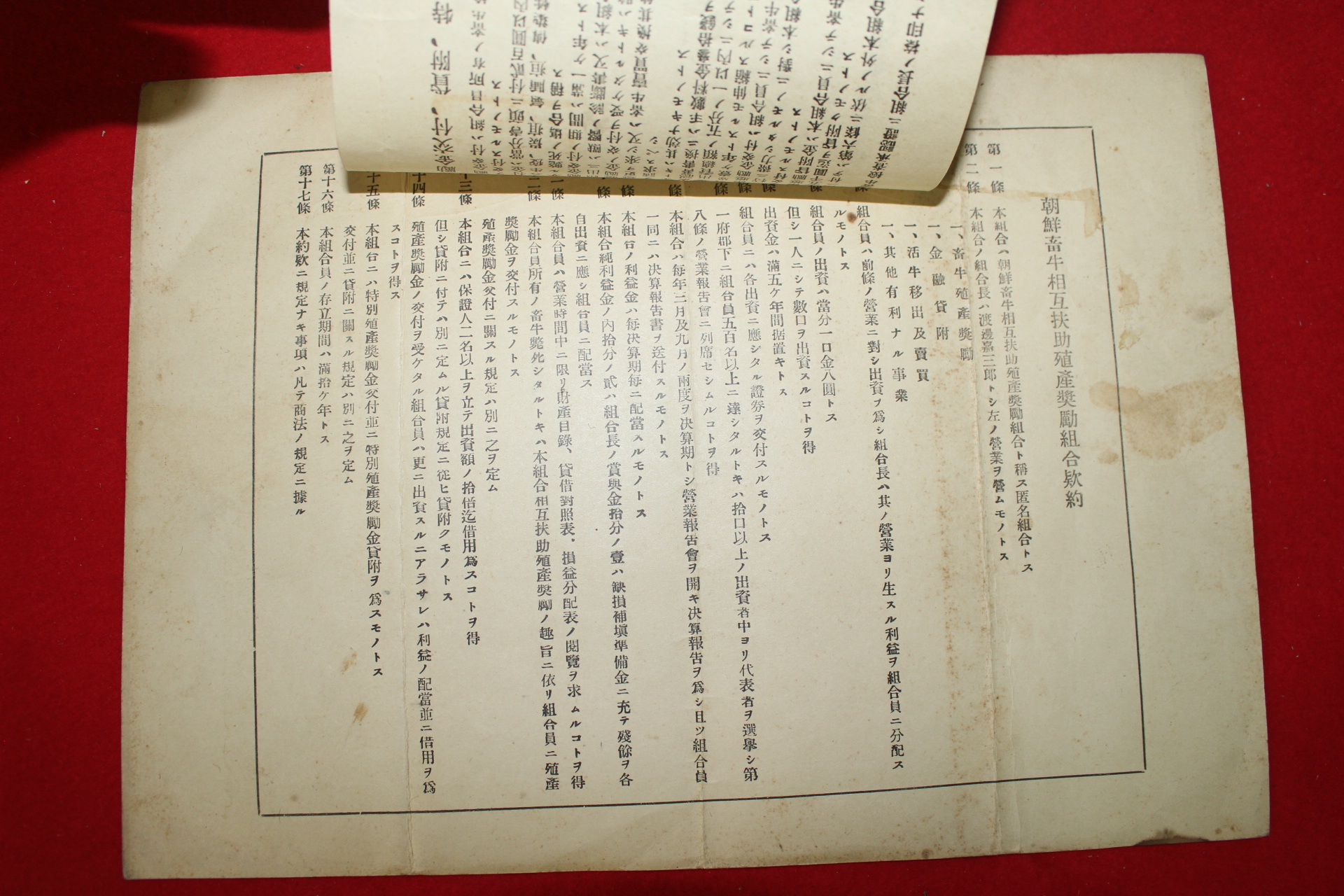 1924년(대정13년) 조선축우상호부조식산조합 출자증권