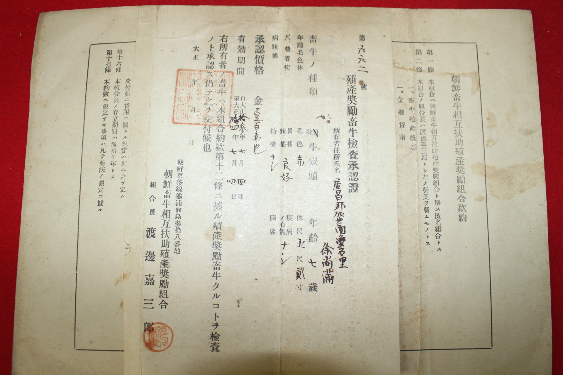 1924년(대정13년) 조선축우상호부조식산조합 출자증권