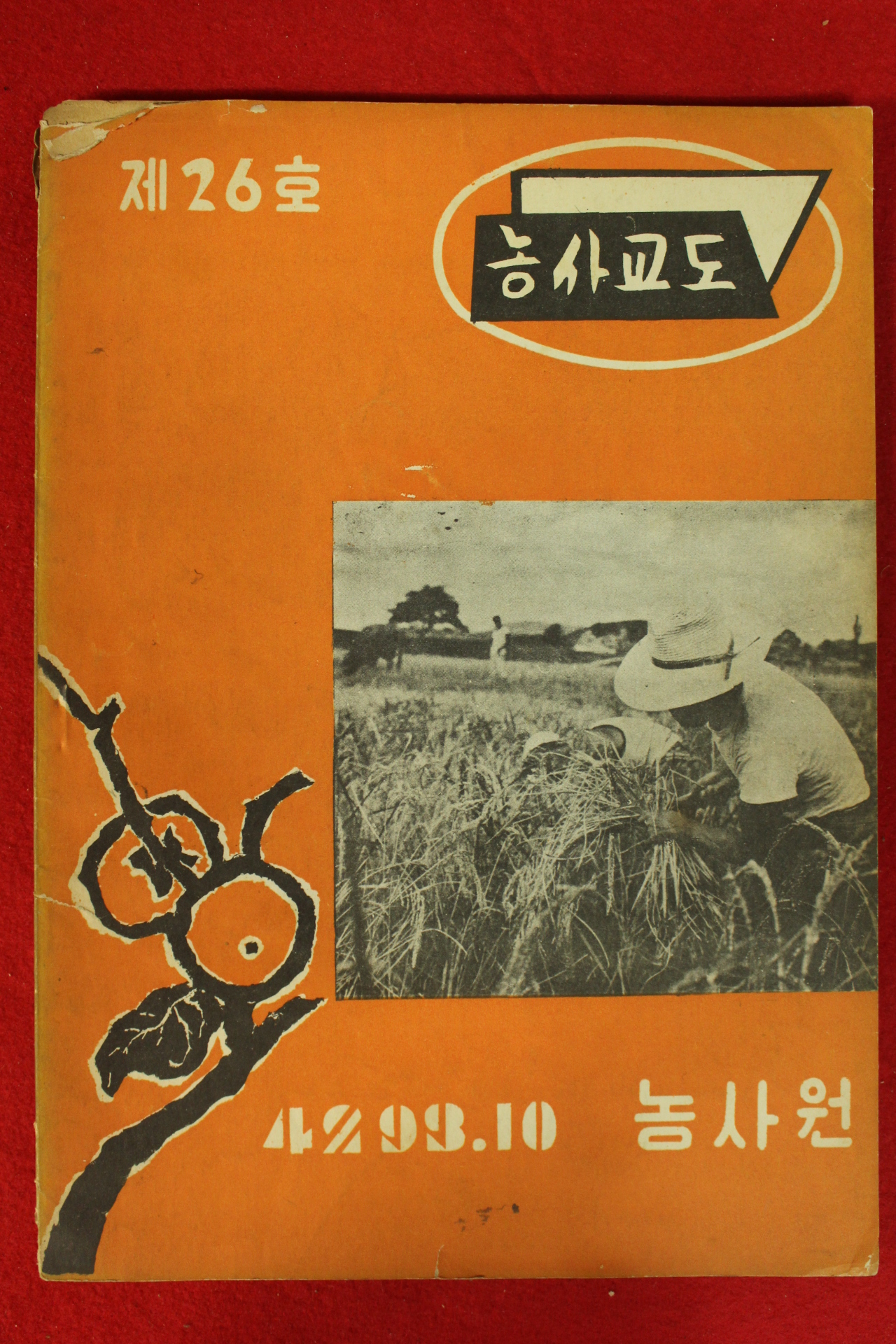 1960년 농사교도 10월호