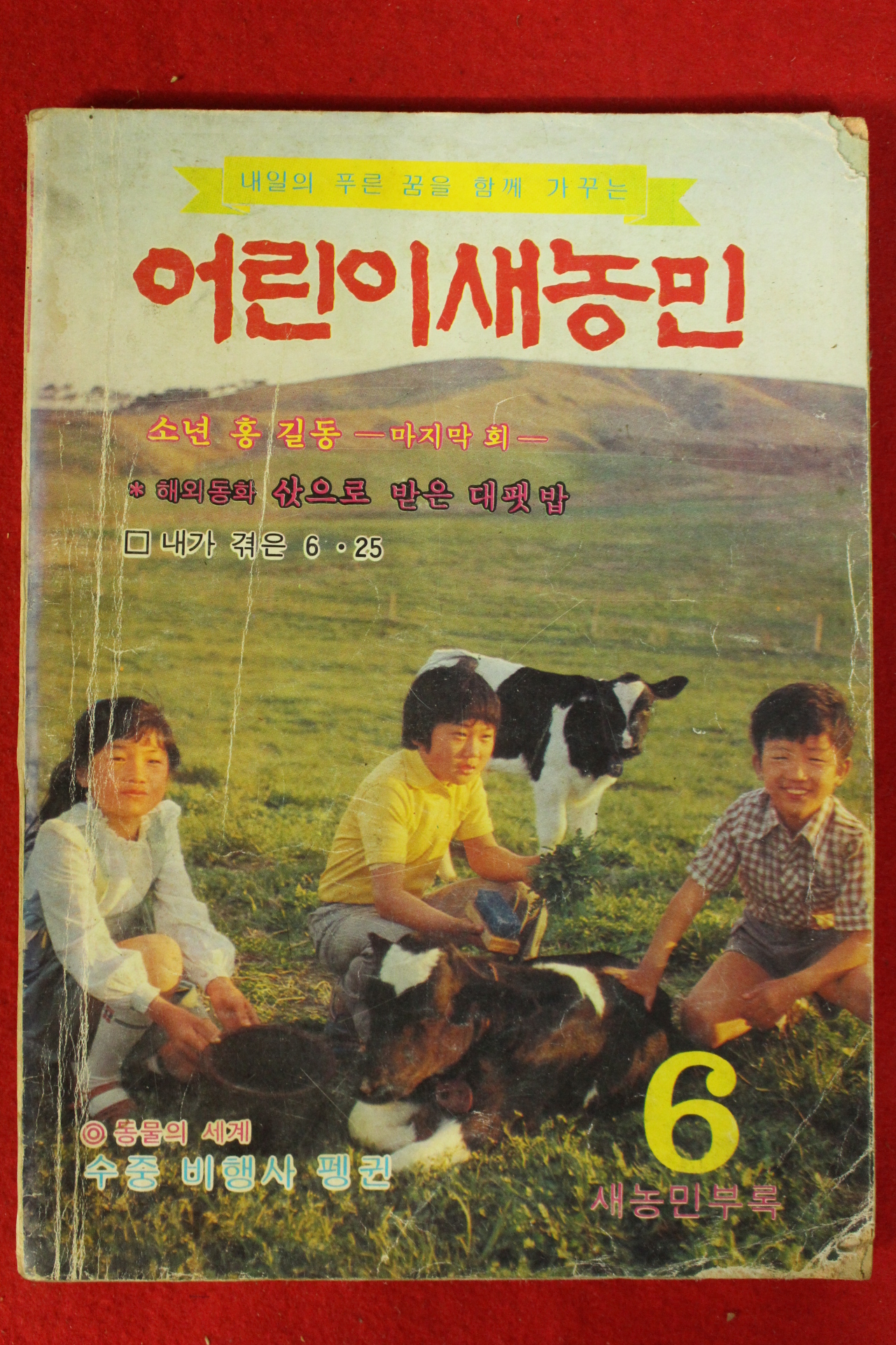 1980년 어린이새농민 6월호