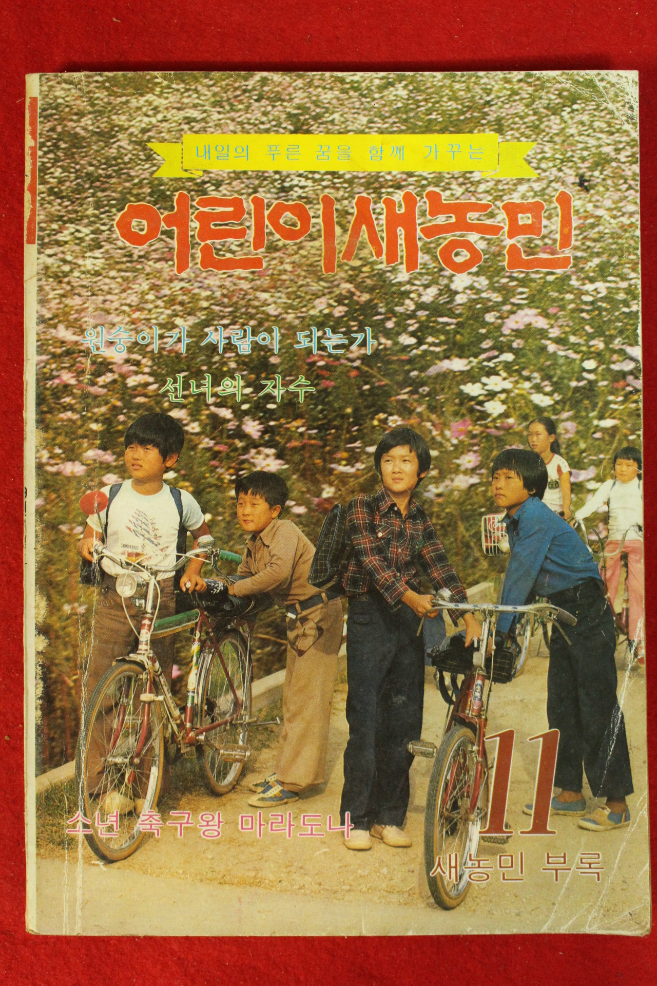 1979년 어린이새농민 11월호