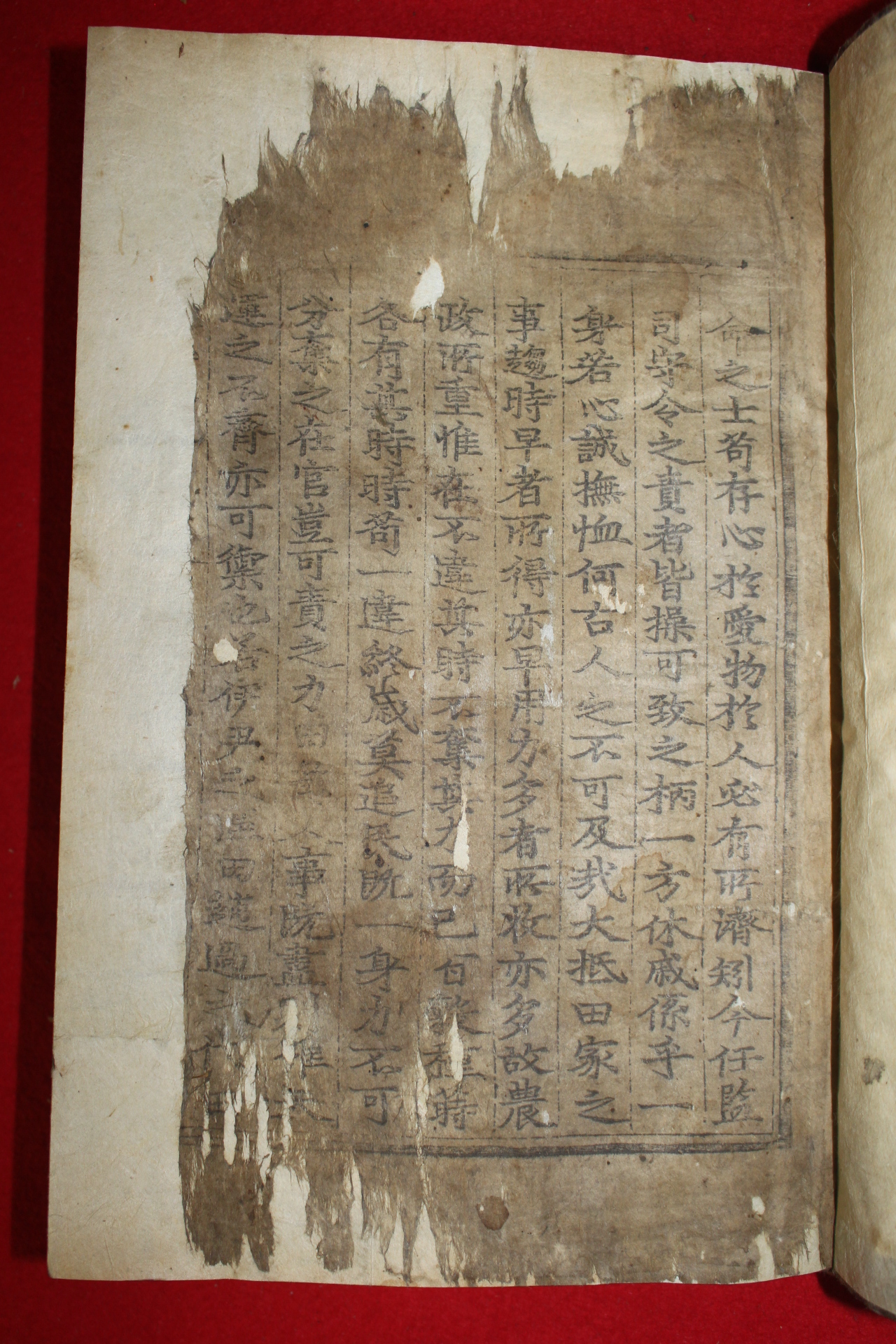 1686년 고목판본 신속(申洬) 농가집성(農家集成) 1책완질
