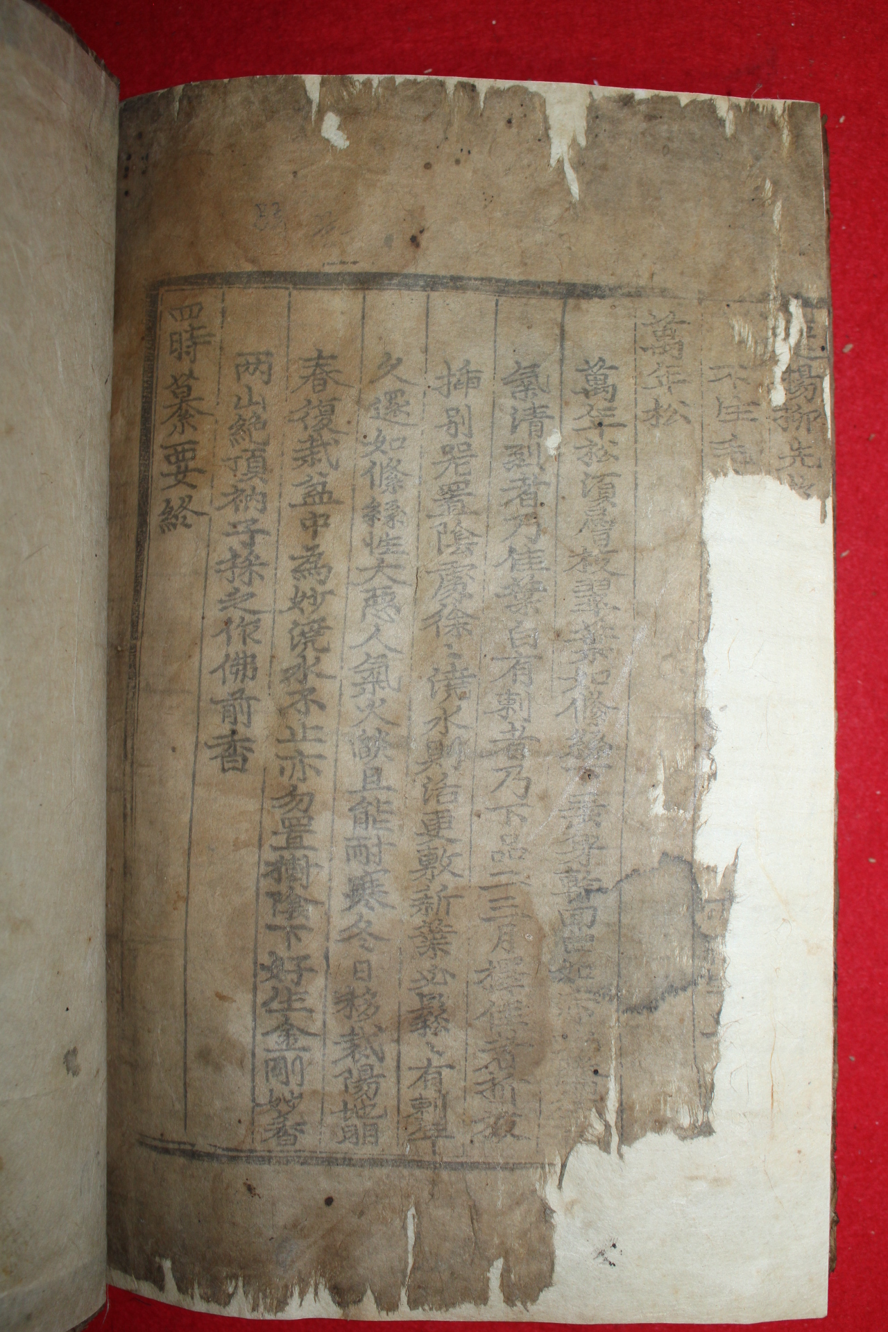 1686년 고목판본 신속(申洬) 농가집성(農家集成) 1책완질