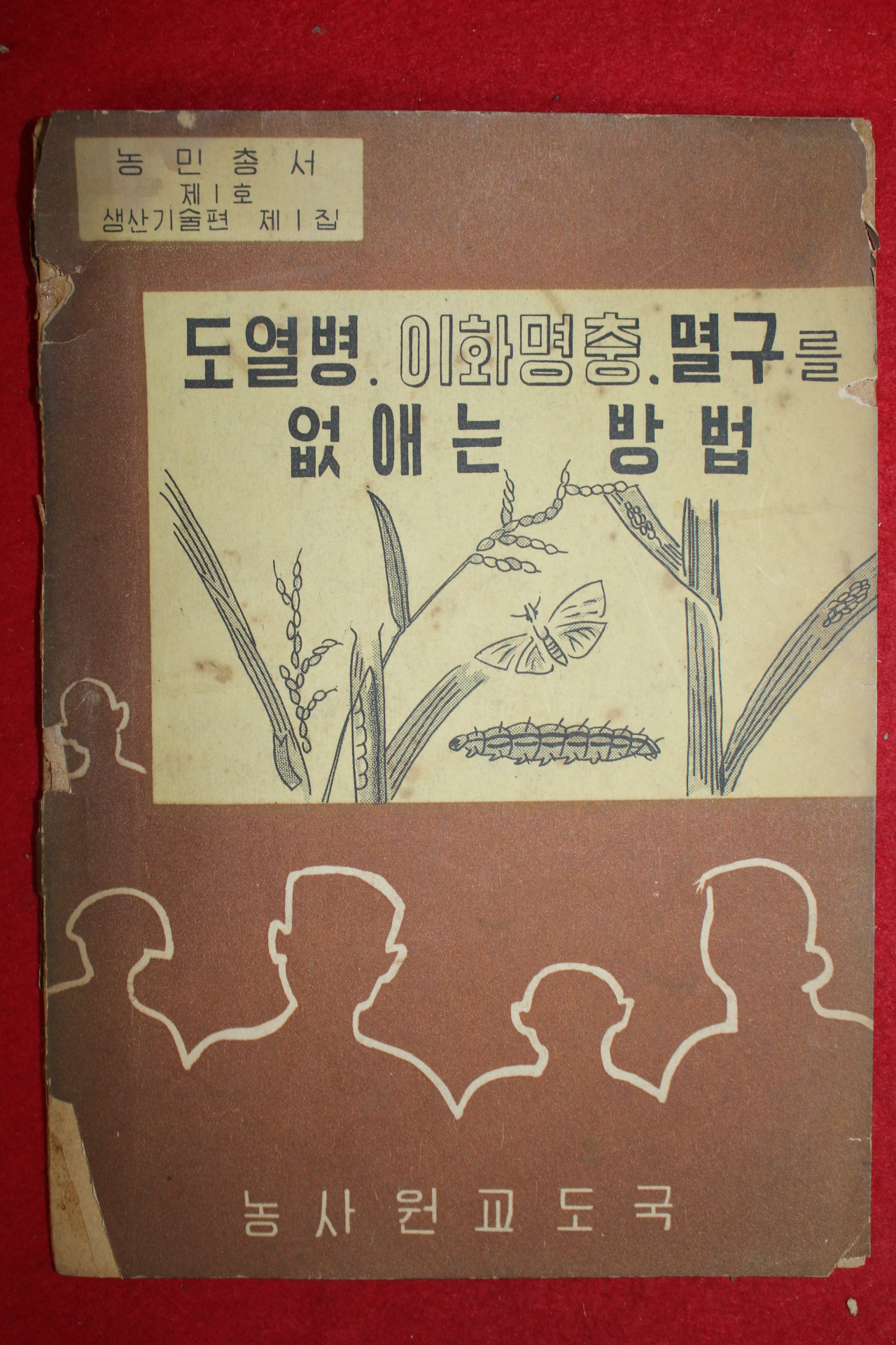 1960년대 농사원교도국 도열병.이화명충.멸구를 없애는 방법