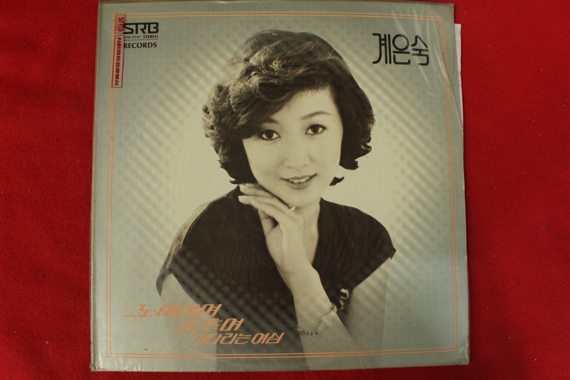 102-1980년 레코드판 계은숙