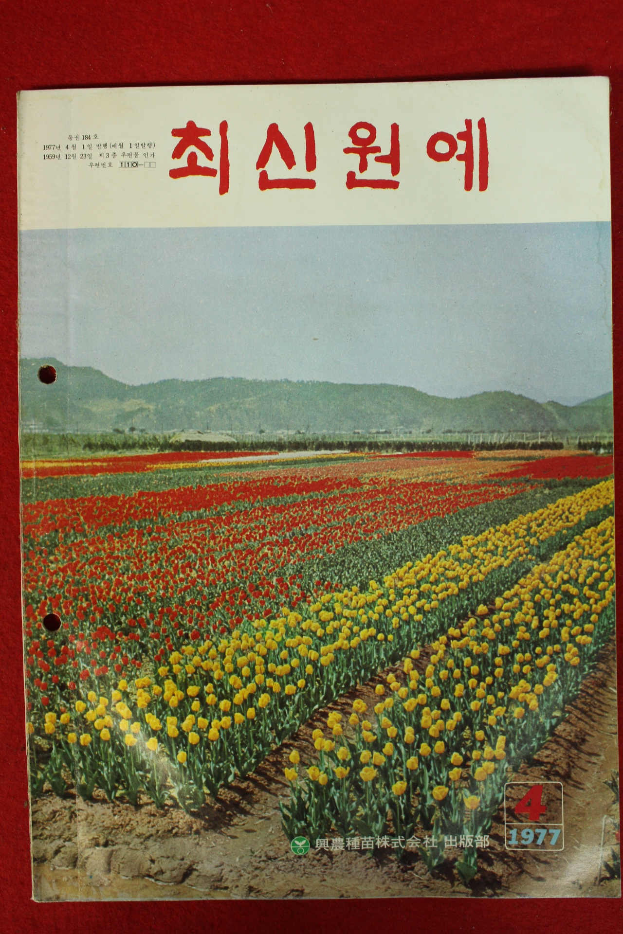1977년 최신원예 4월호
