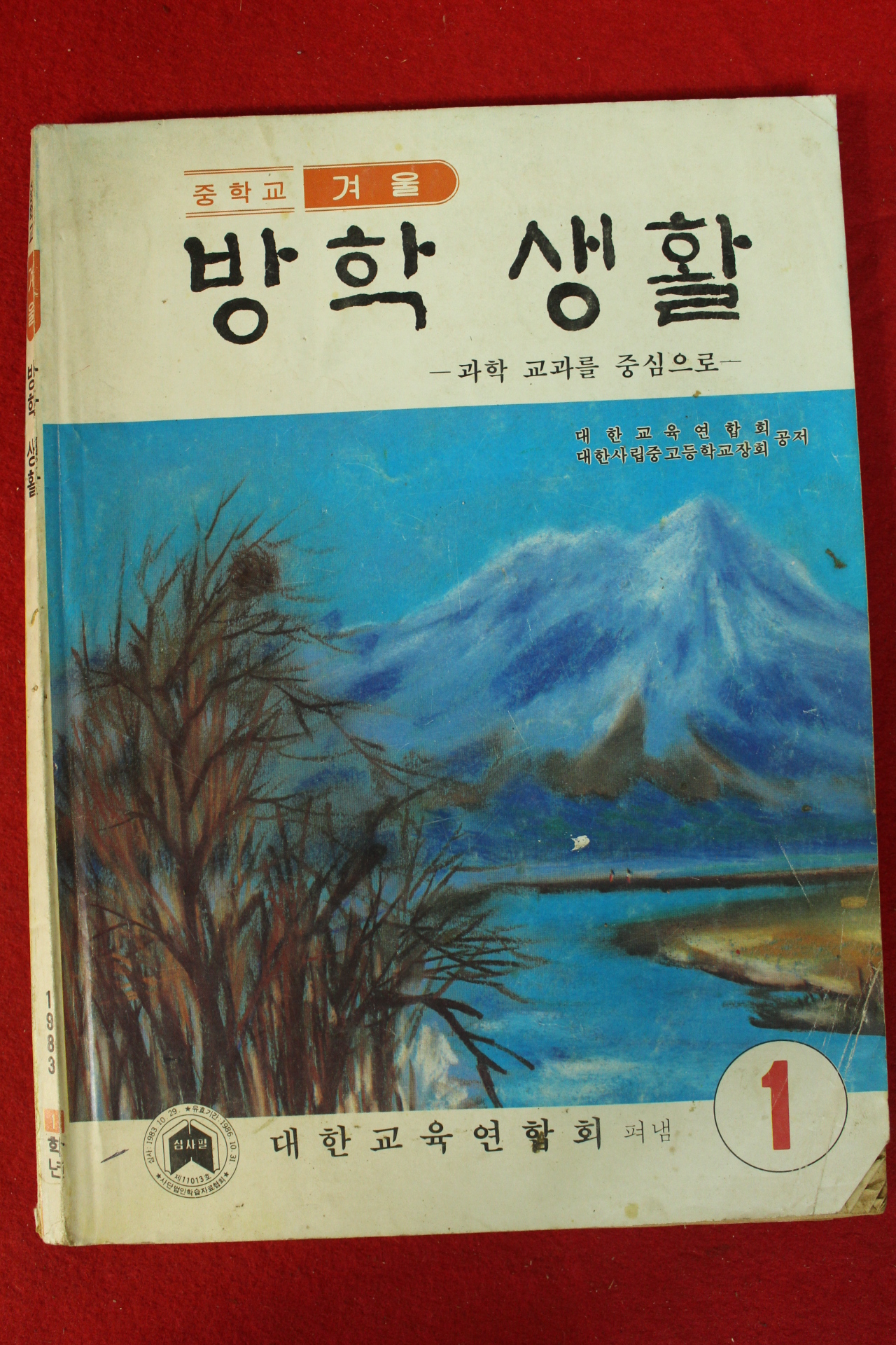 1983년 중학교 겨울 방학생활 1