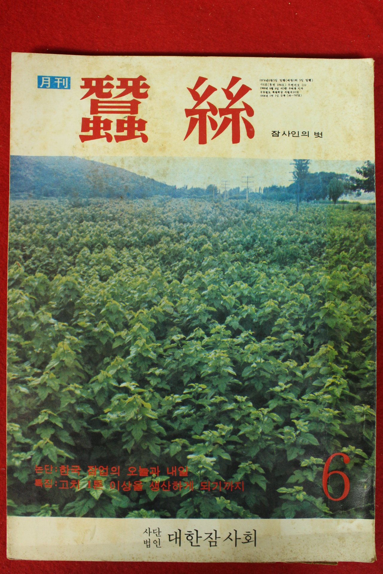 1974년 월간 잠사 6월호