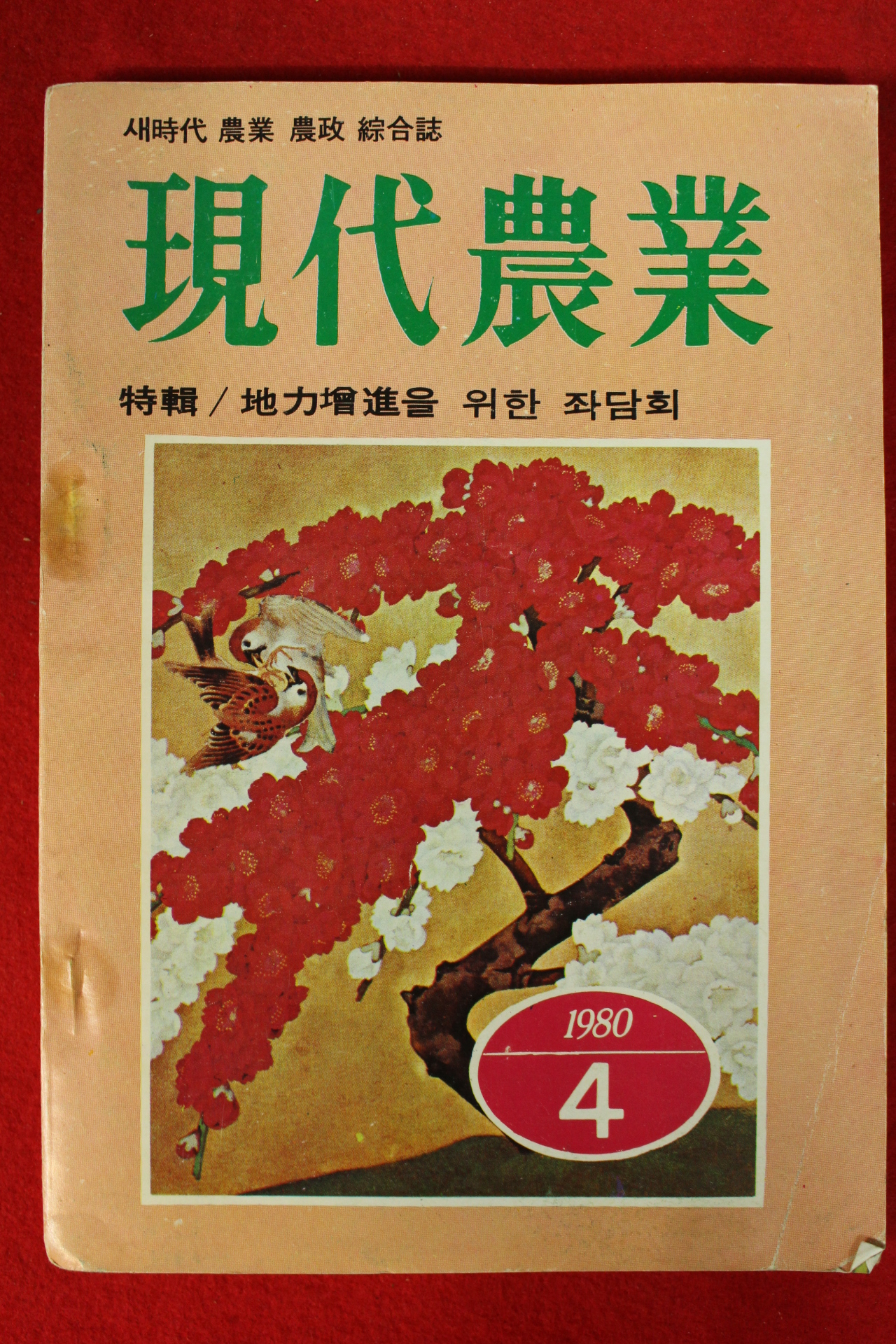1980년 현대농업 4월호
