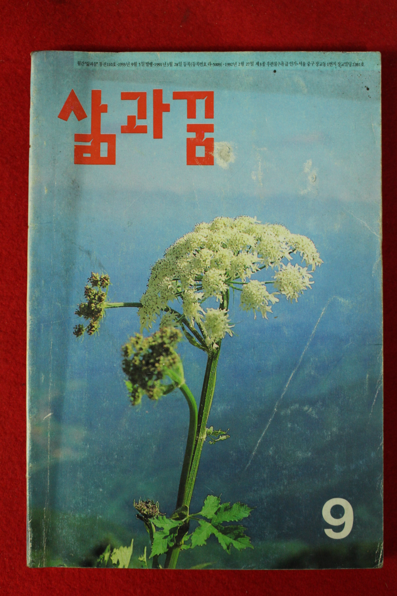 1993년 삶과 꿈 9월호