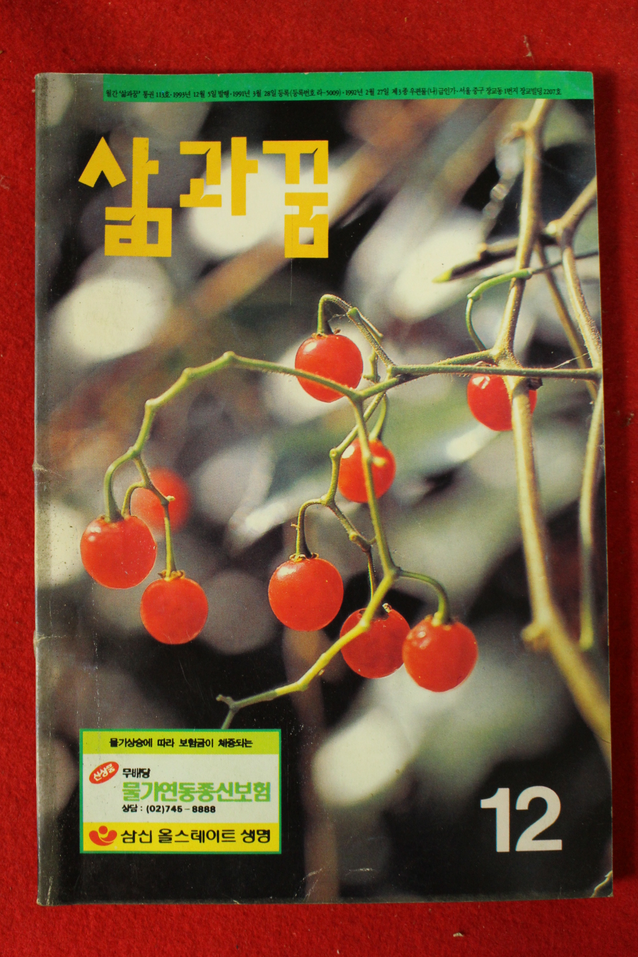 1993년 삶과 꿈 12월호