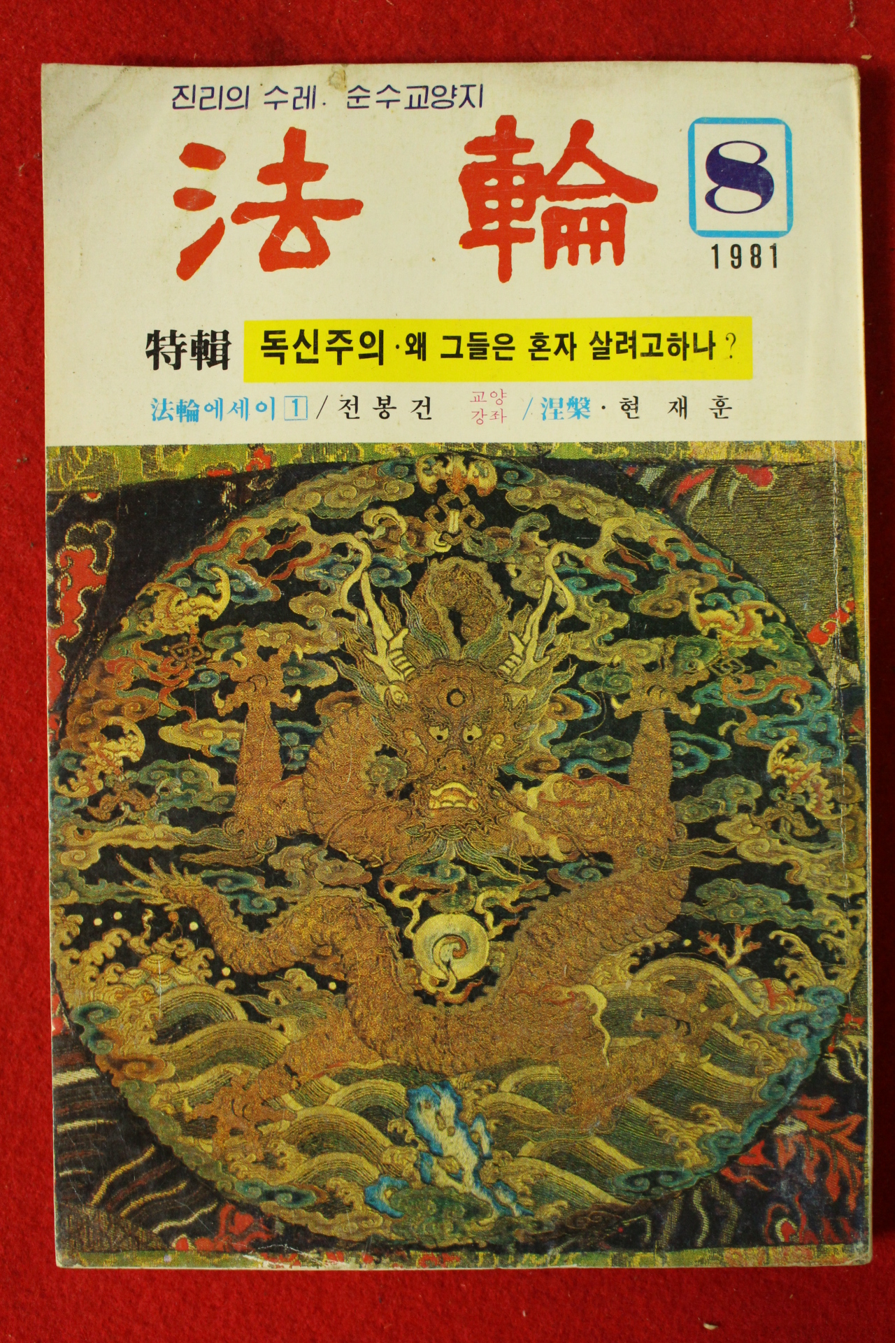 1981년 법륜 8월호
