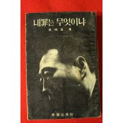 1966년초판 김상신(金相信) 내죄는 무엇이냐