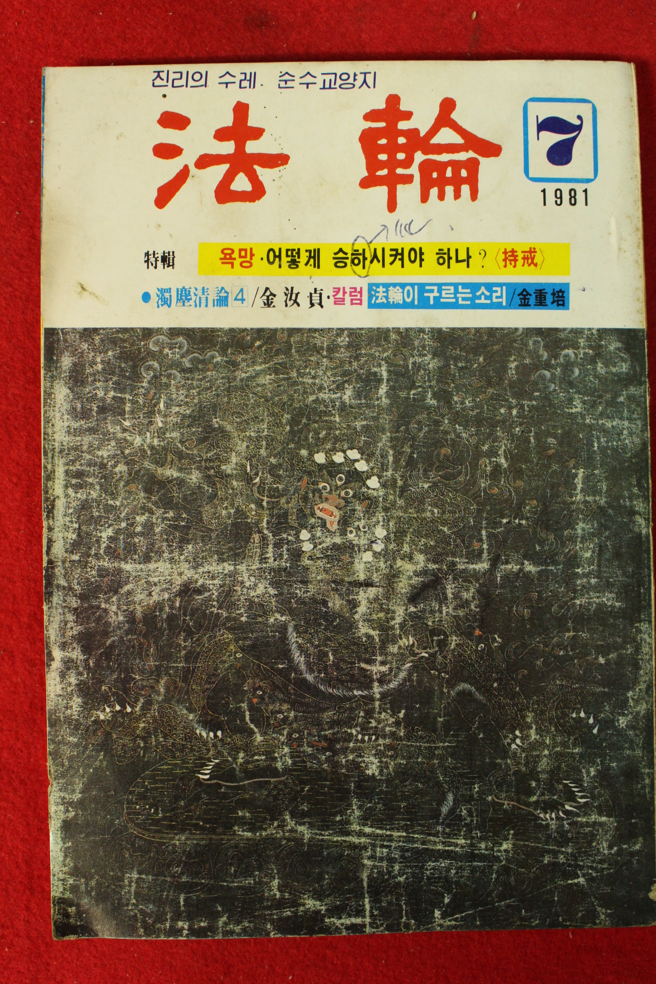 1981년 법륜 7월호