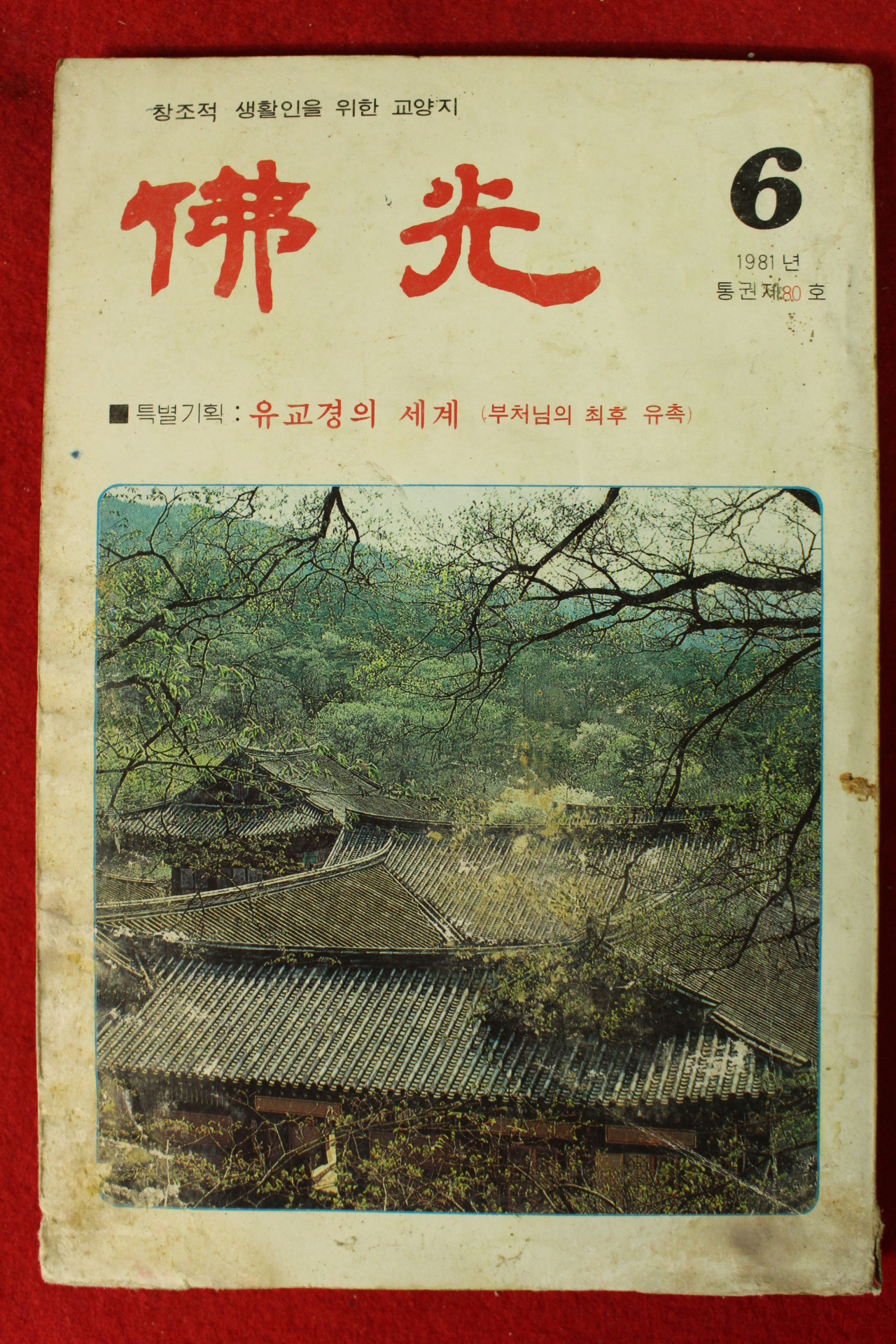 1981년 불광 6월호