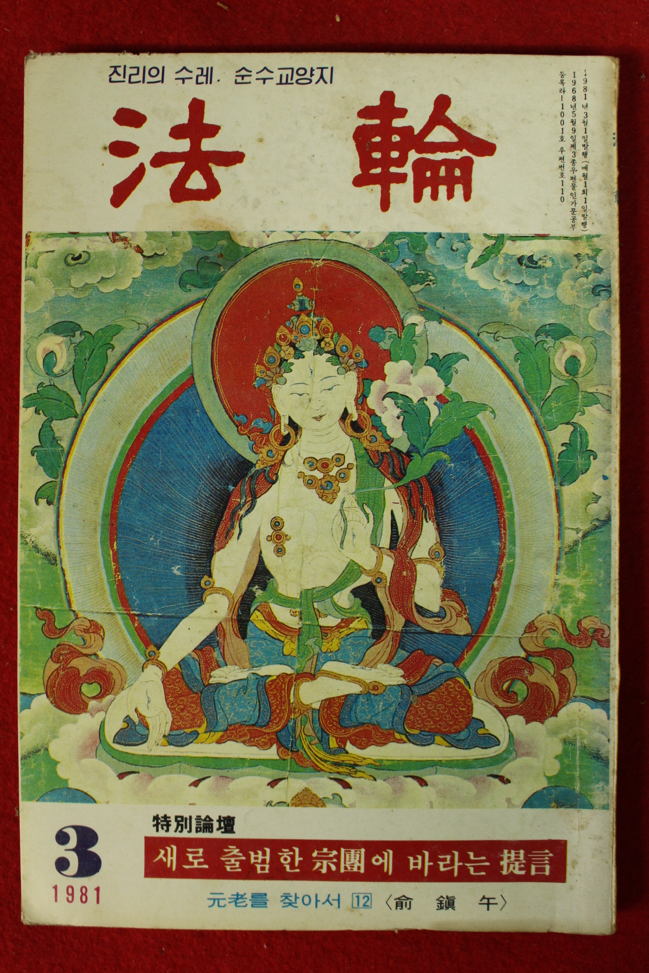 1981년 법륜 3월호
