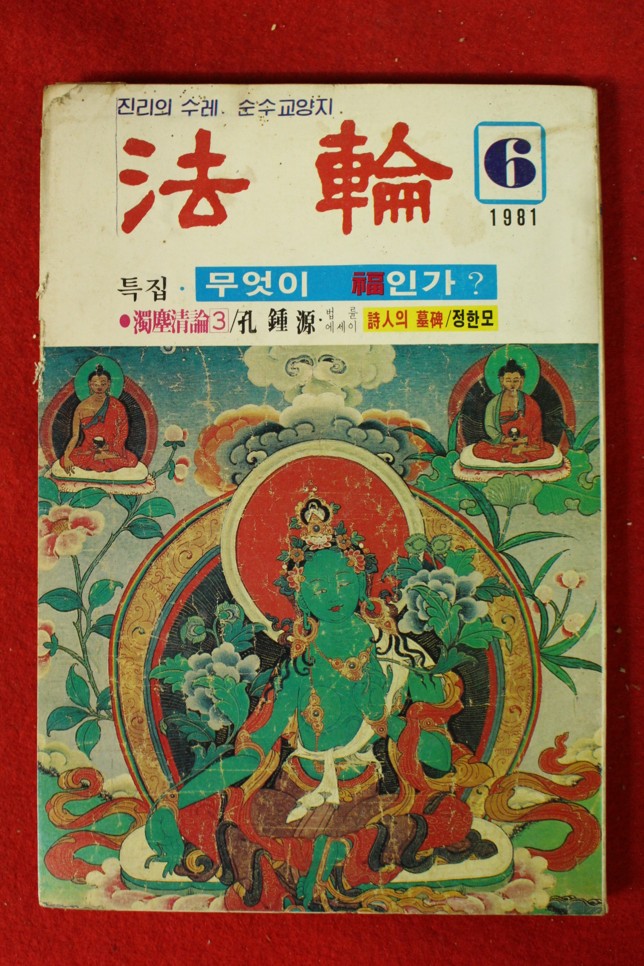 1981년 법륜 6월호