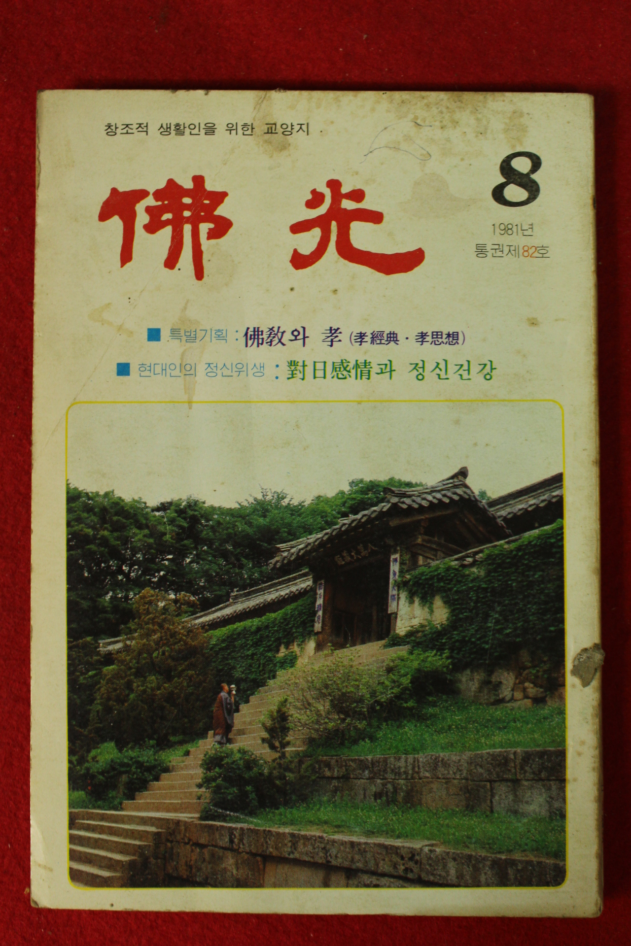 1981년 불광 8월호