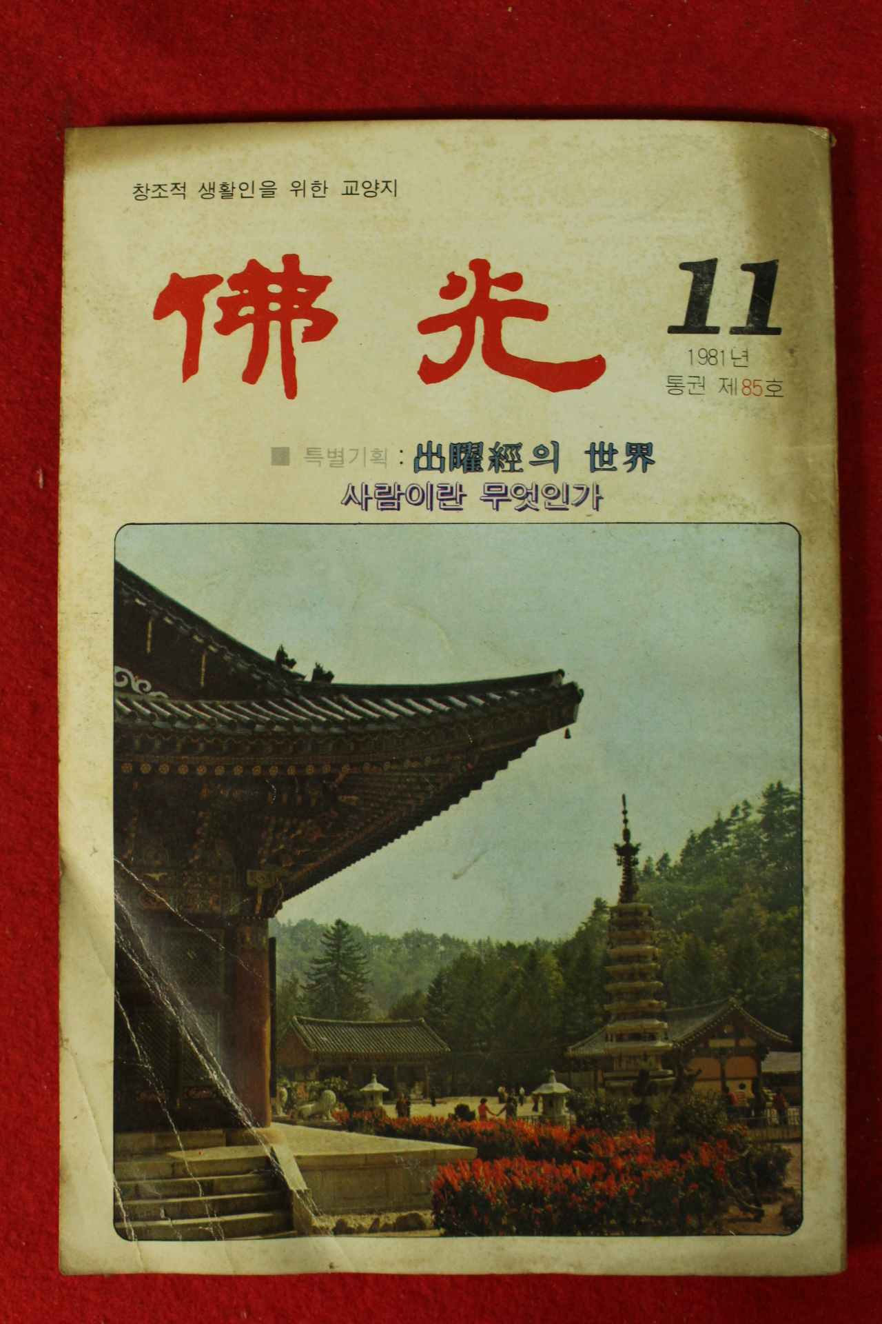 1981년 불광 11월호