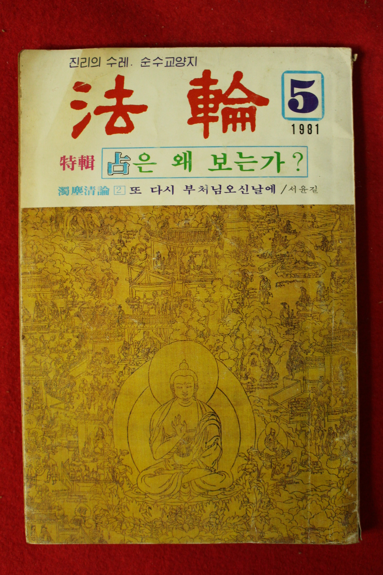 1981년 법륜 5월호