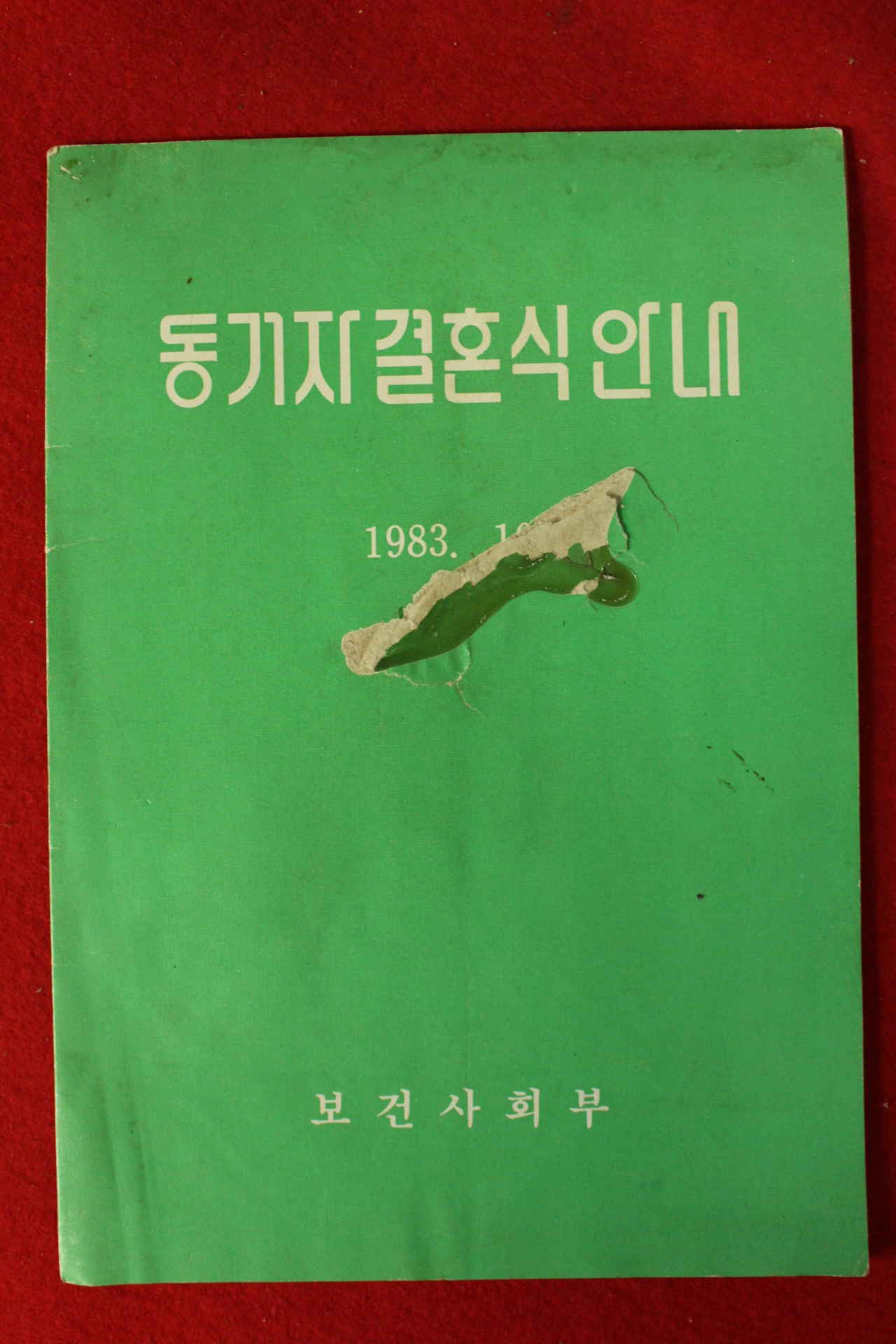 1983년 보건사회부 동거자결혼식안내