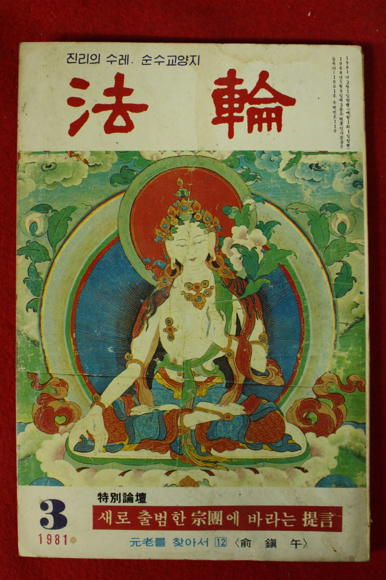 1981년 법륜 3월호