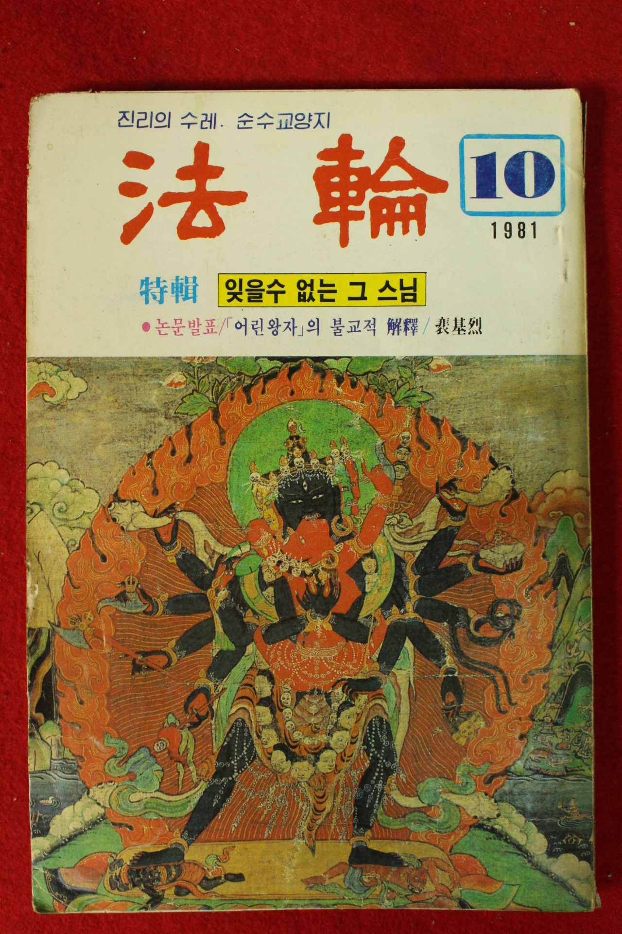 1981년 법륜 10월호