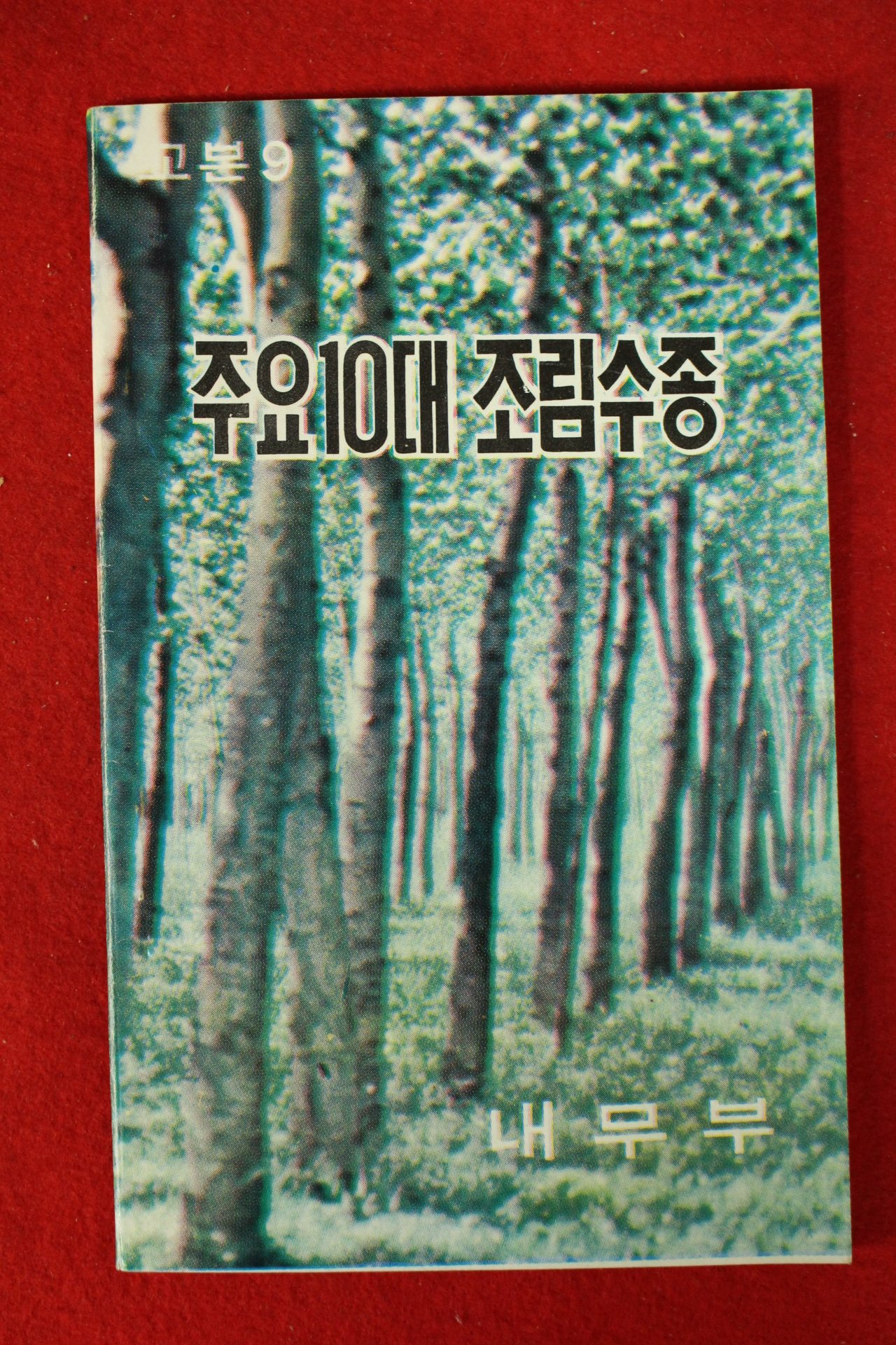 1973년 내무부 주요10대 조림수종