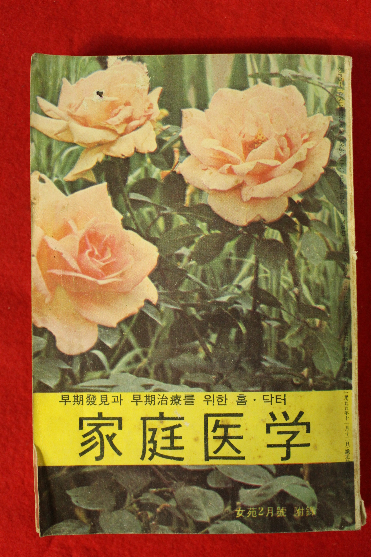 1966년 여원별책부록 가정의학