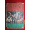 1970년대 중국단편무협 정무문