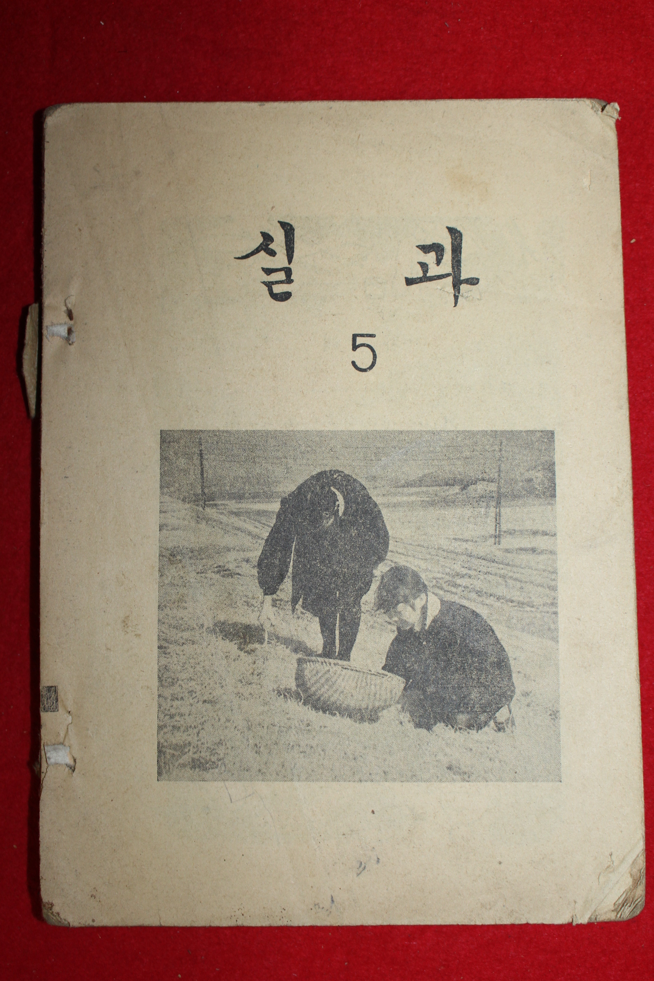 1970년대 실과 5