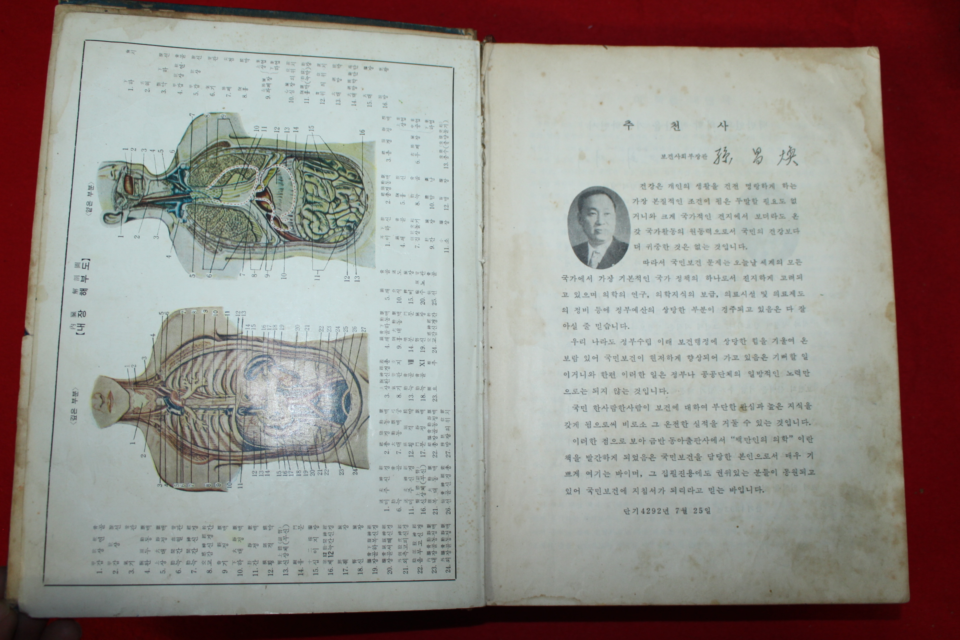 1959년(단기4292년)초판 동아출판사 백만인의 의학