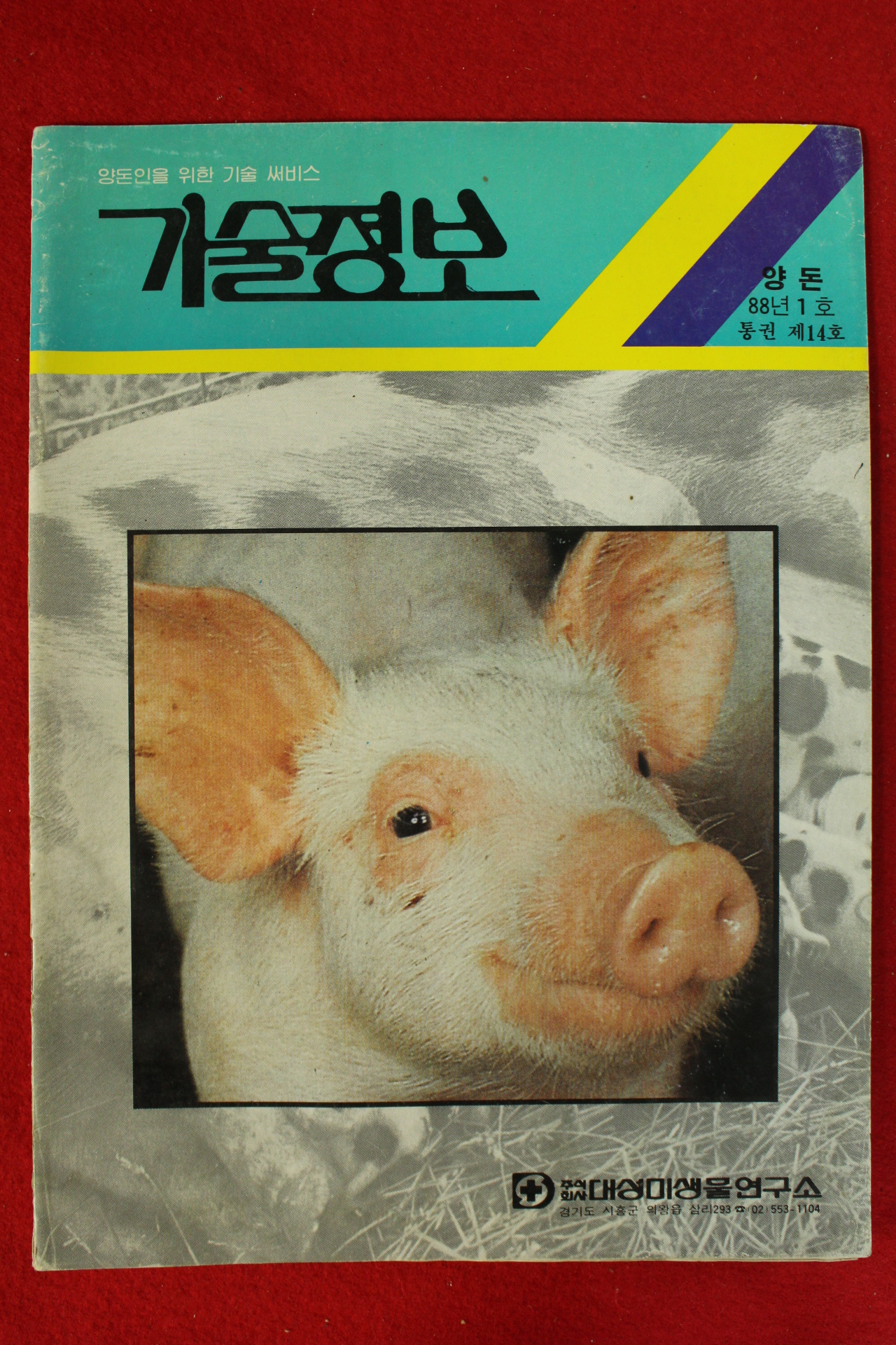 1988년 양돈 1월호 기술정보