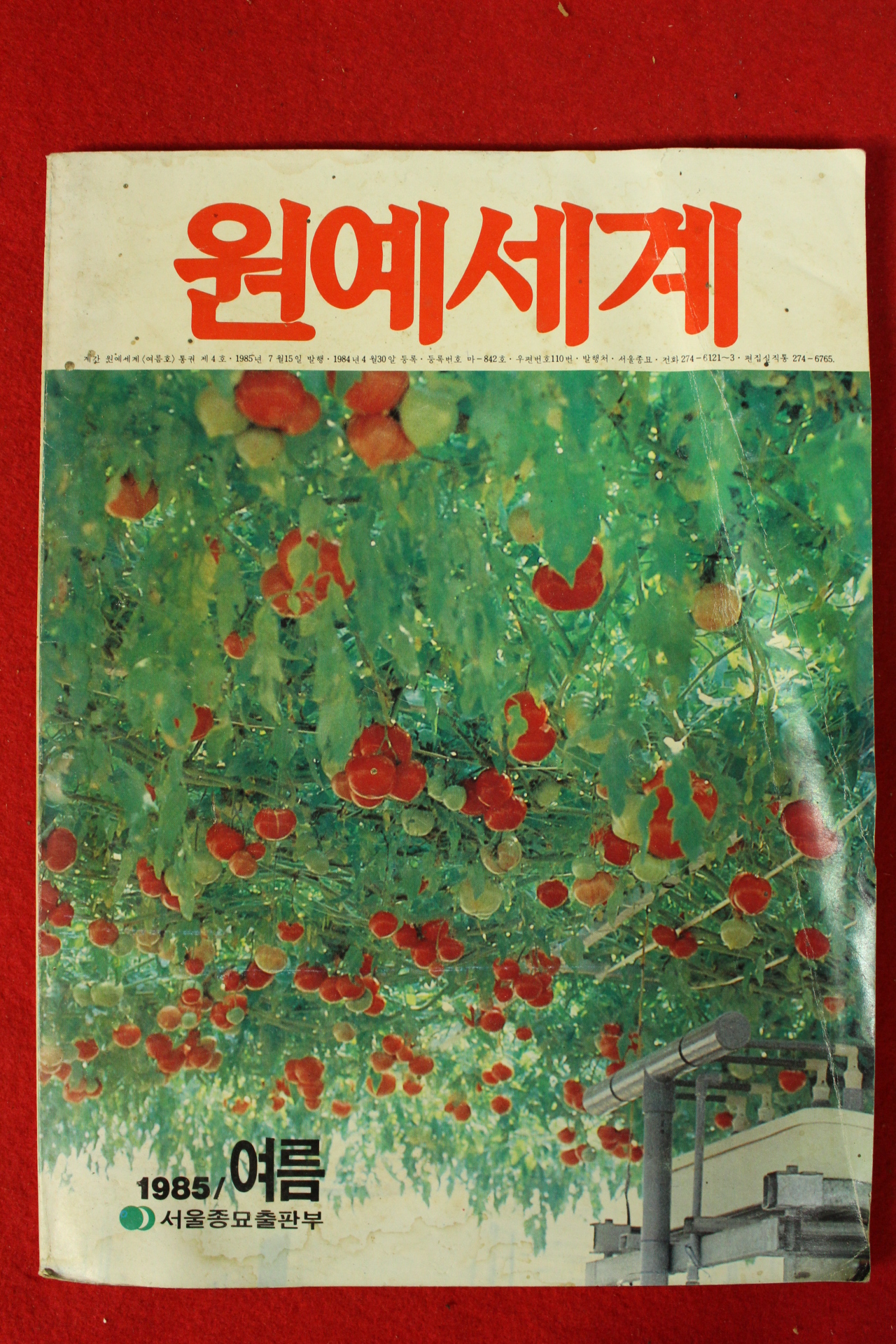 1985년 원예세계 여름호