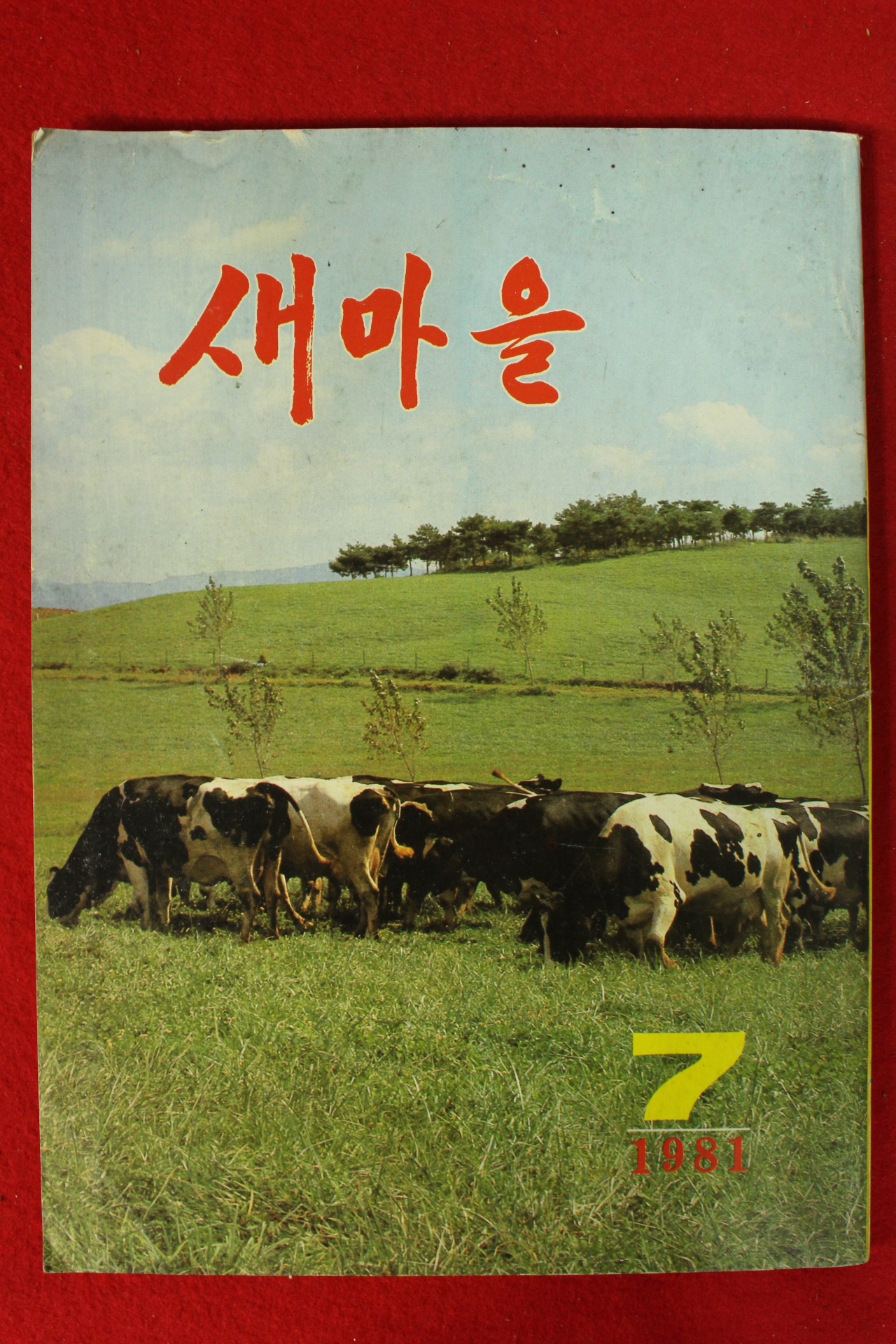 1981년 새마을 7월호