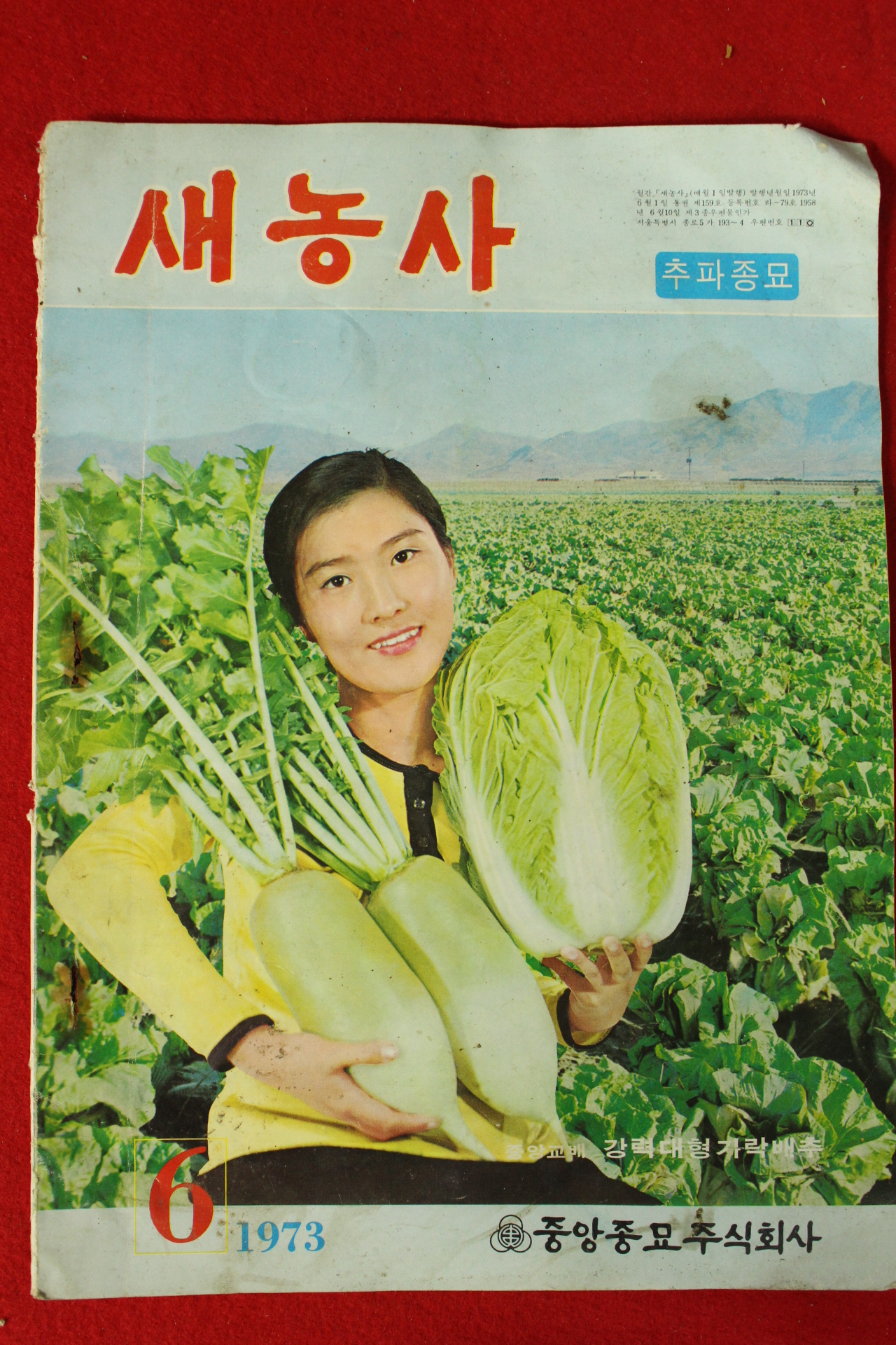 1973년 새농사 6월호
