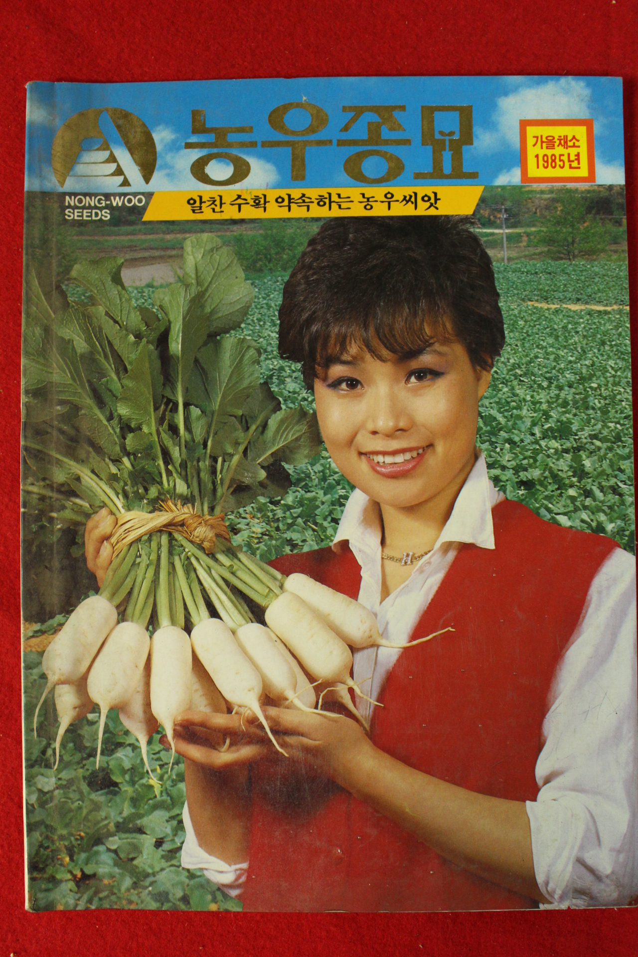 1985년 농우종묘