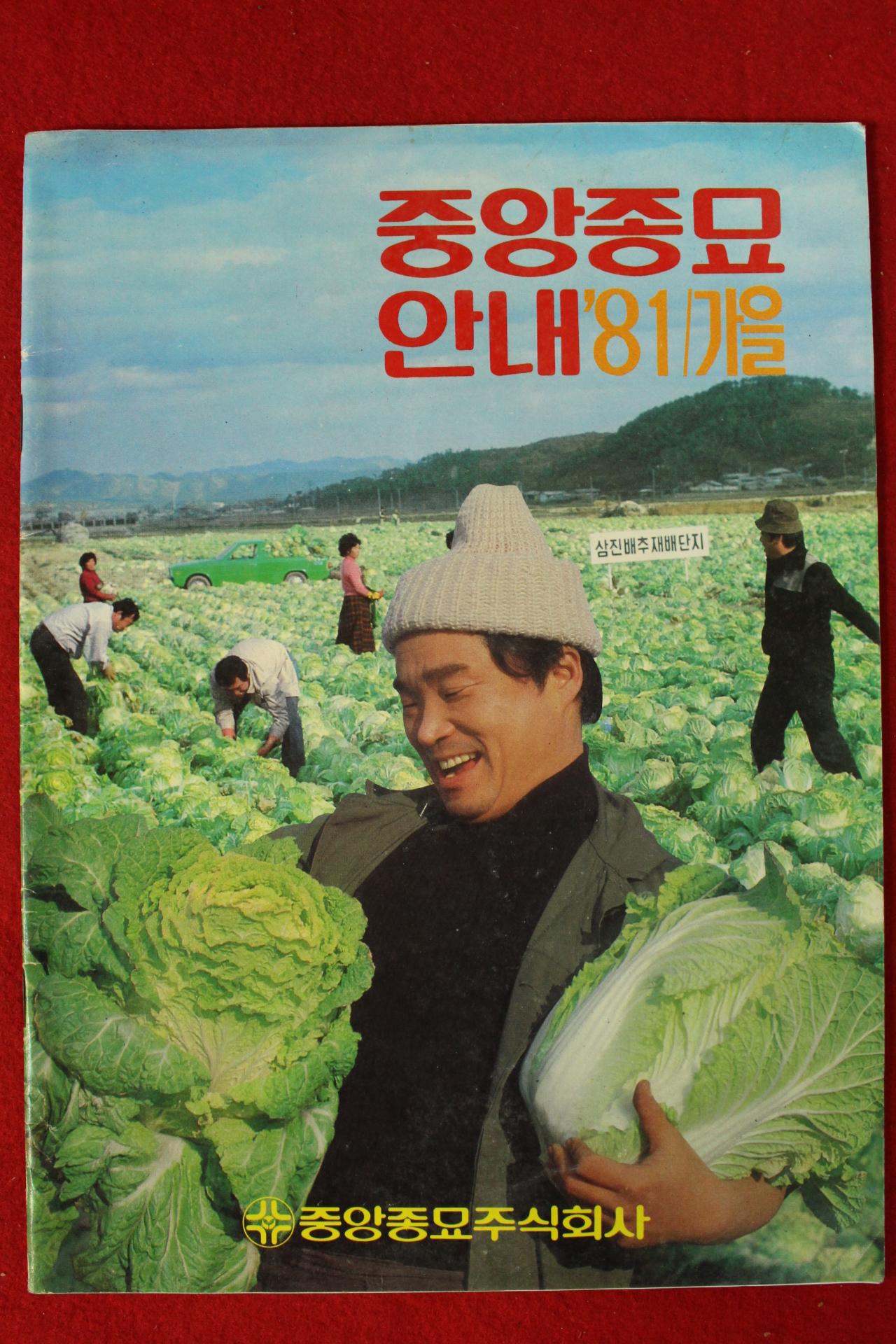 1981년 중앙종묘안내 가을호